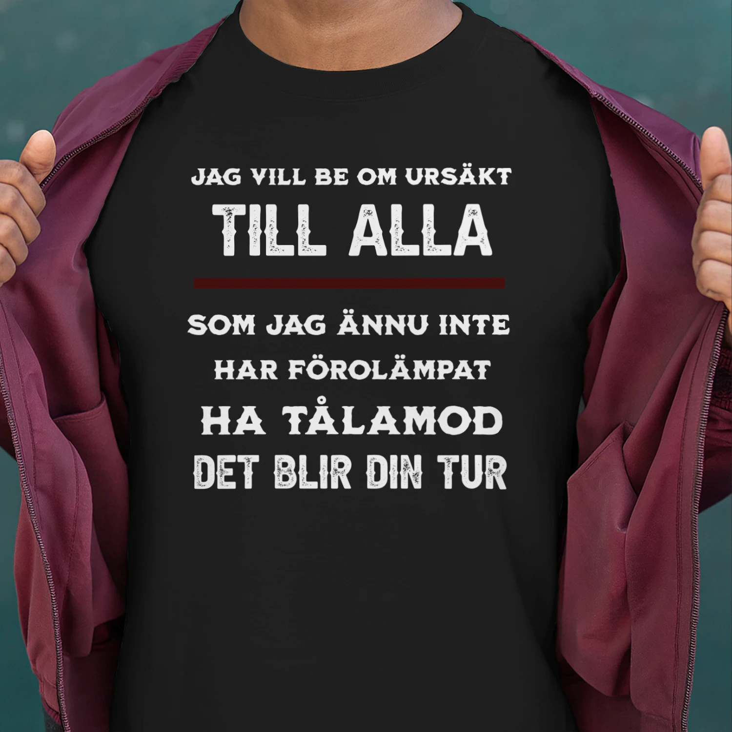 Jag Vill Be Om Ursäkt Till Alla