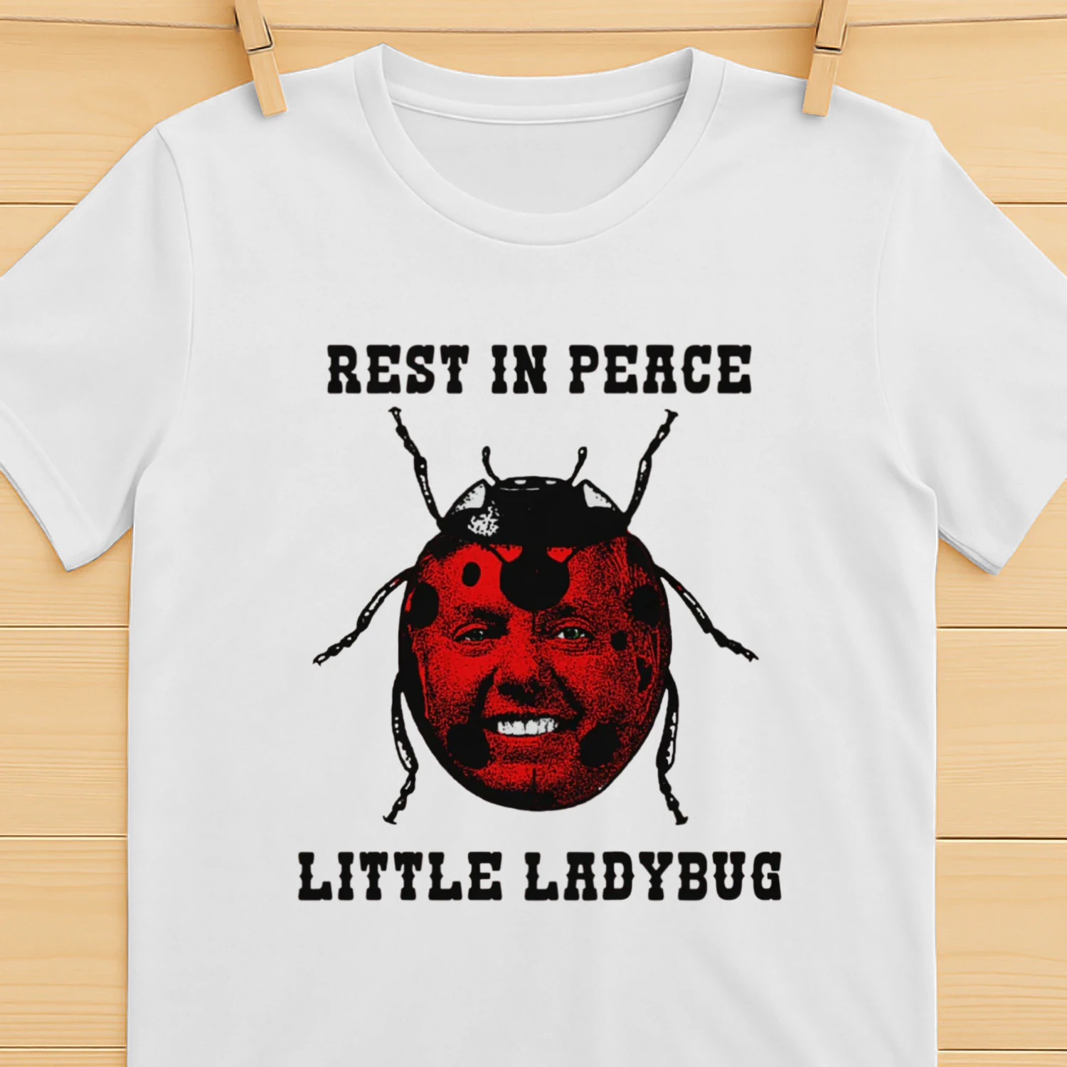 Rest In Peace Little Ladybug.