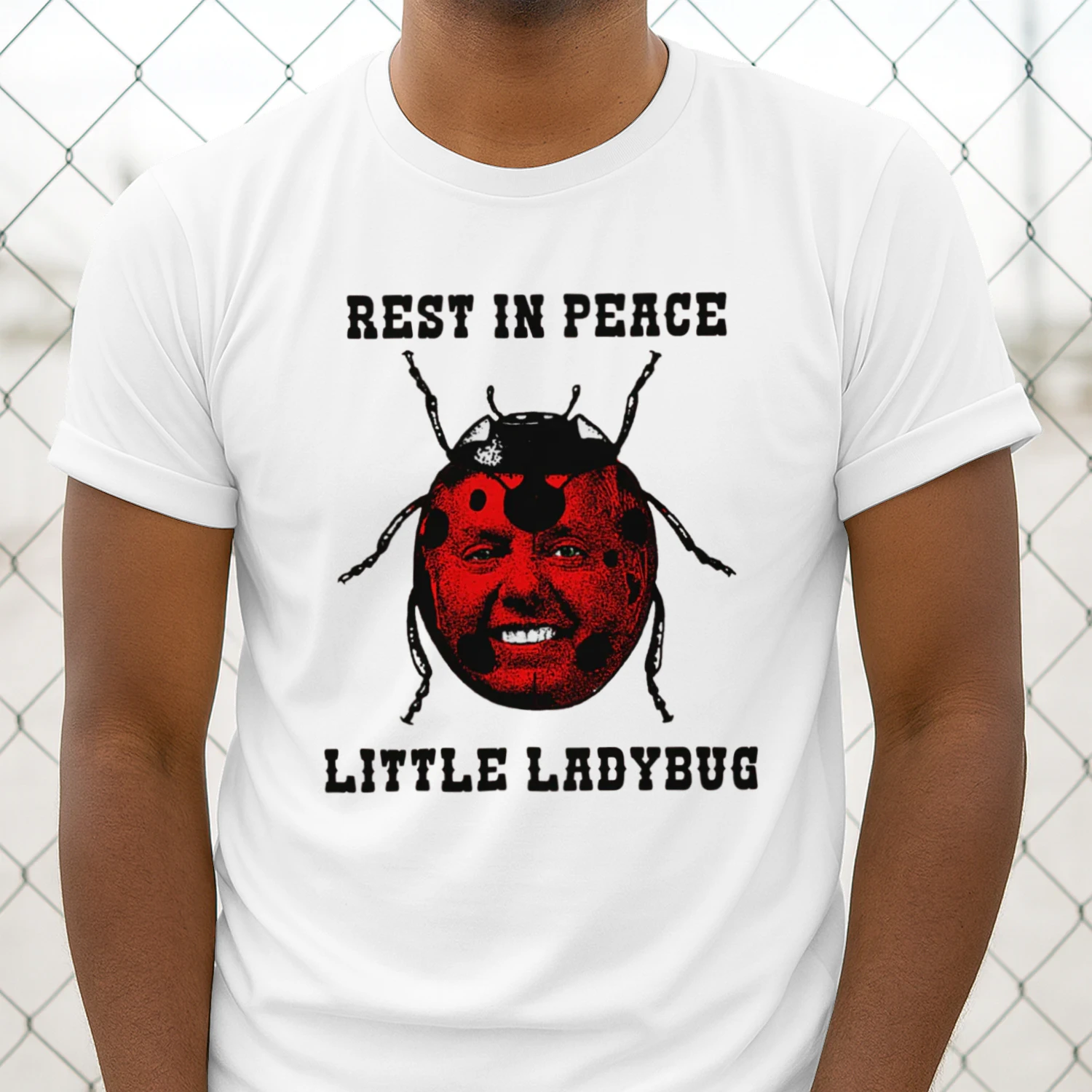 Rest In Peace Little Ladybug.