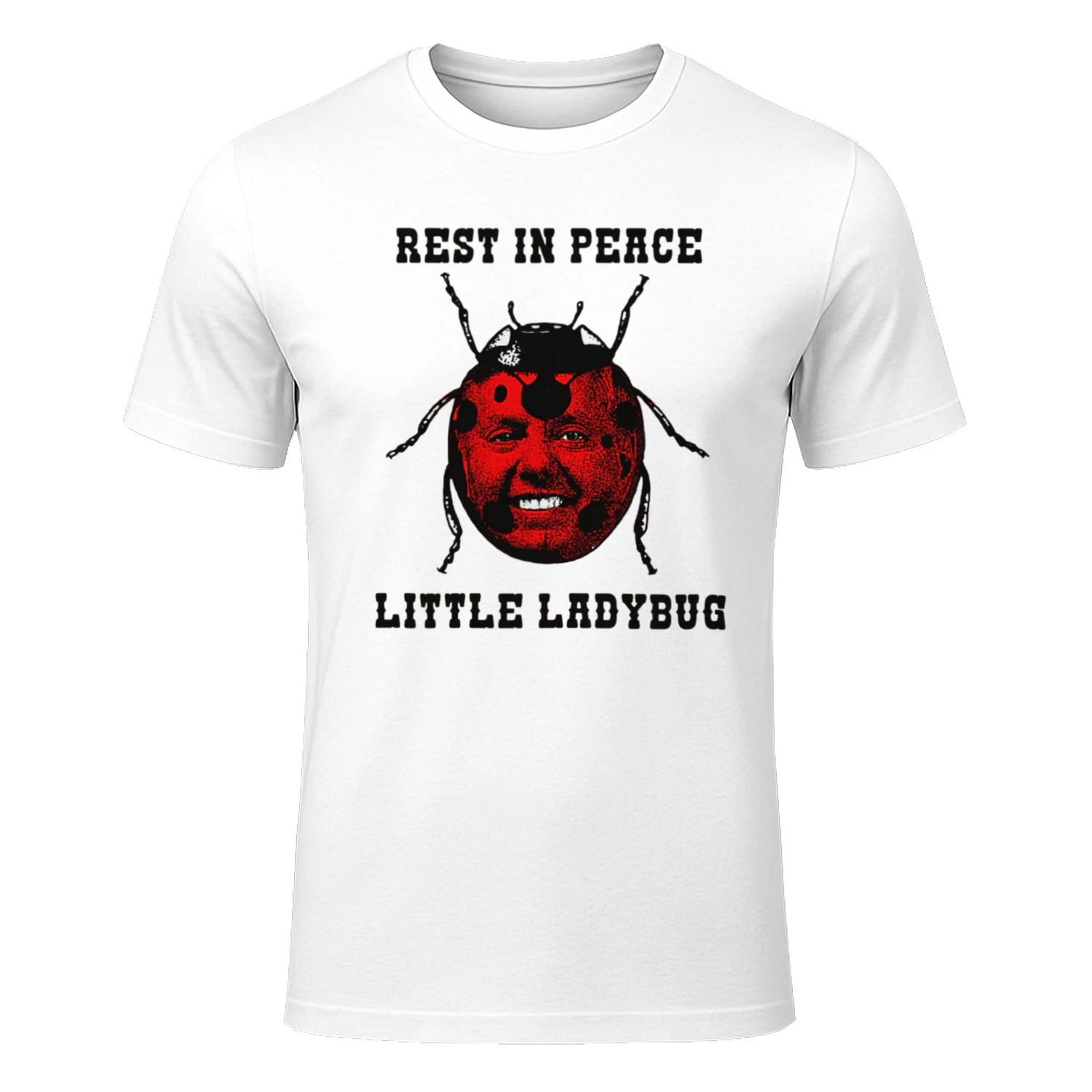Rest In Peace Little Ladybug.