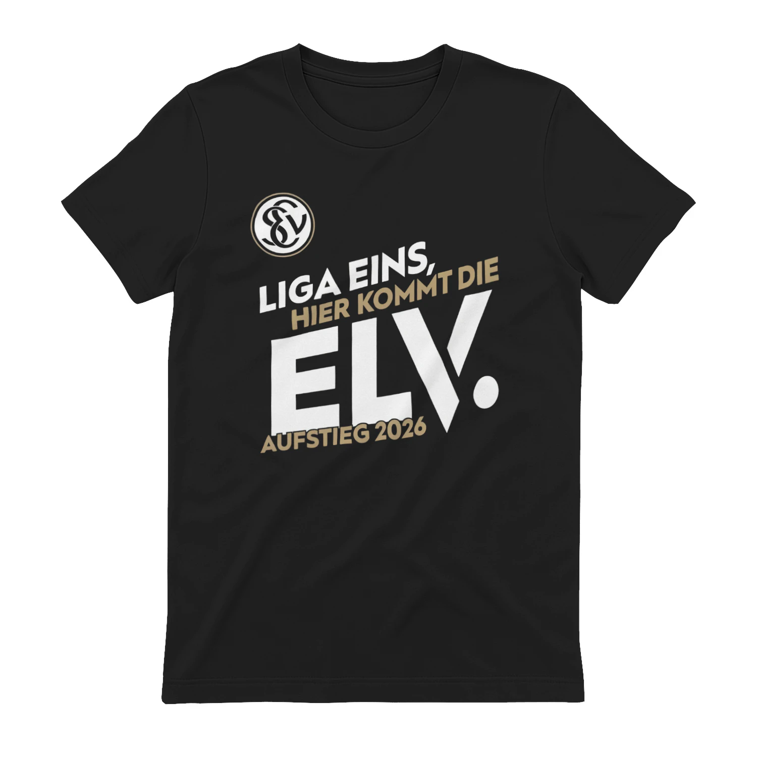 sv elversberg fans
