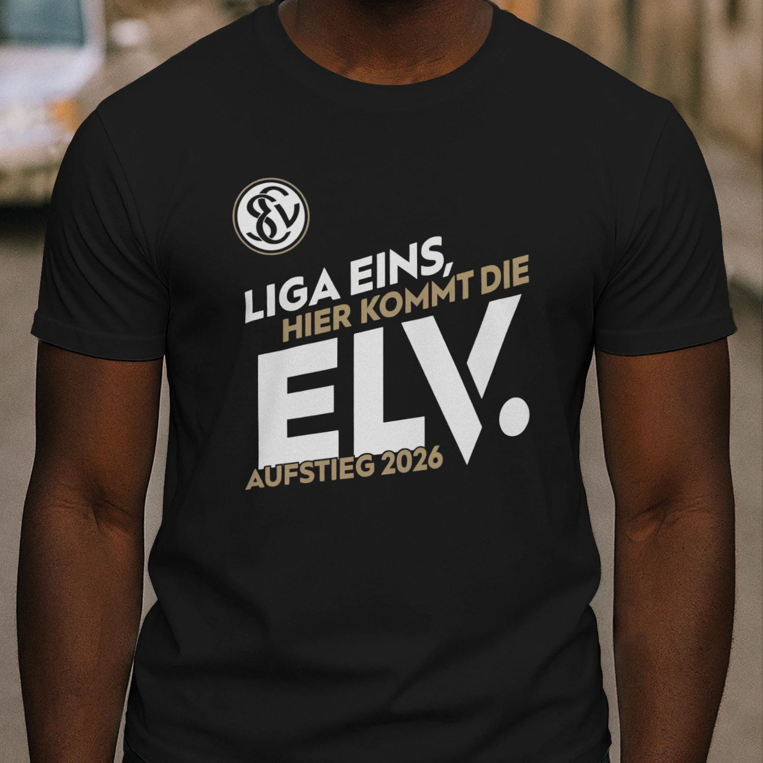 sv elversberg fans