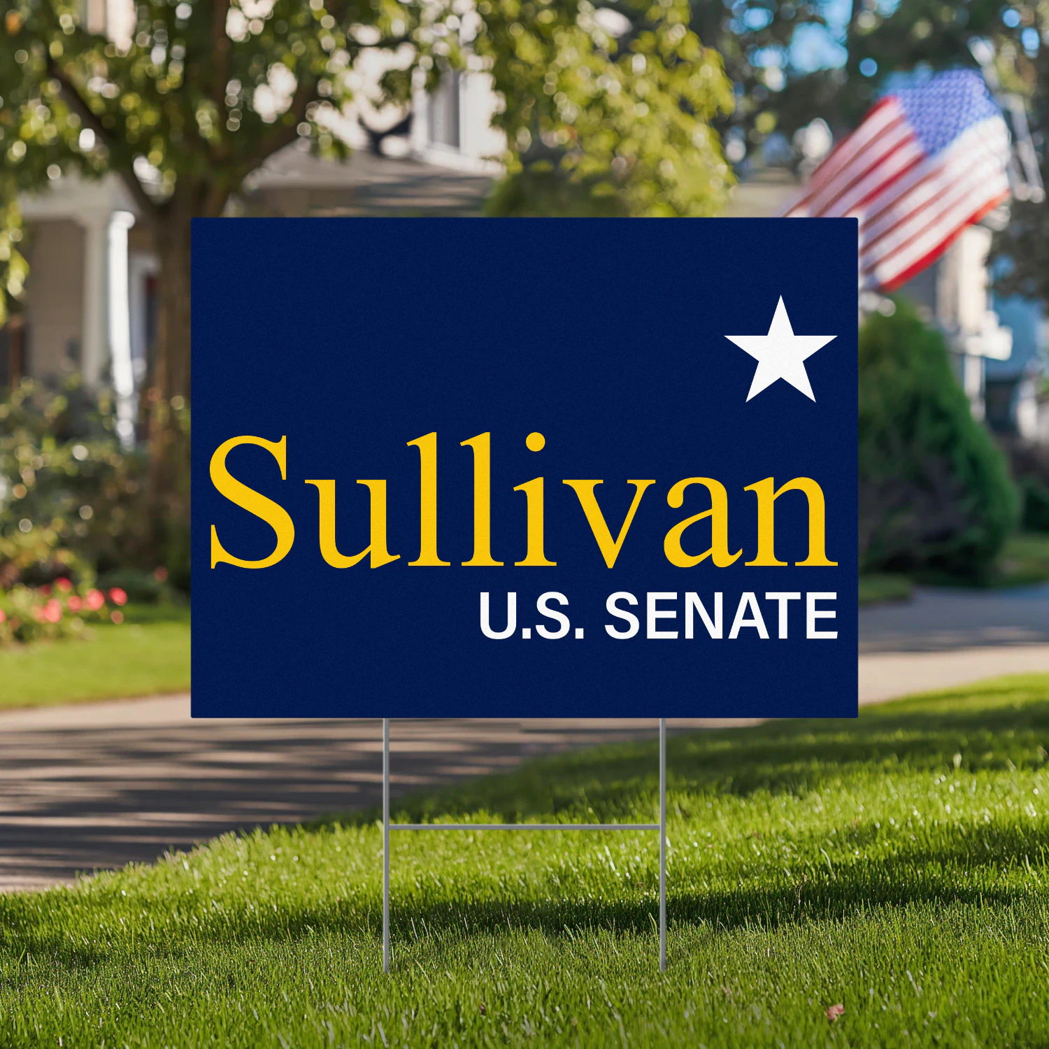 Dan J. Sullivan For Alaska Senate Yard Sign