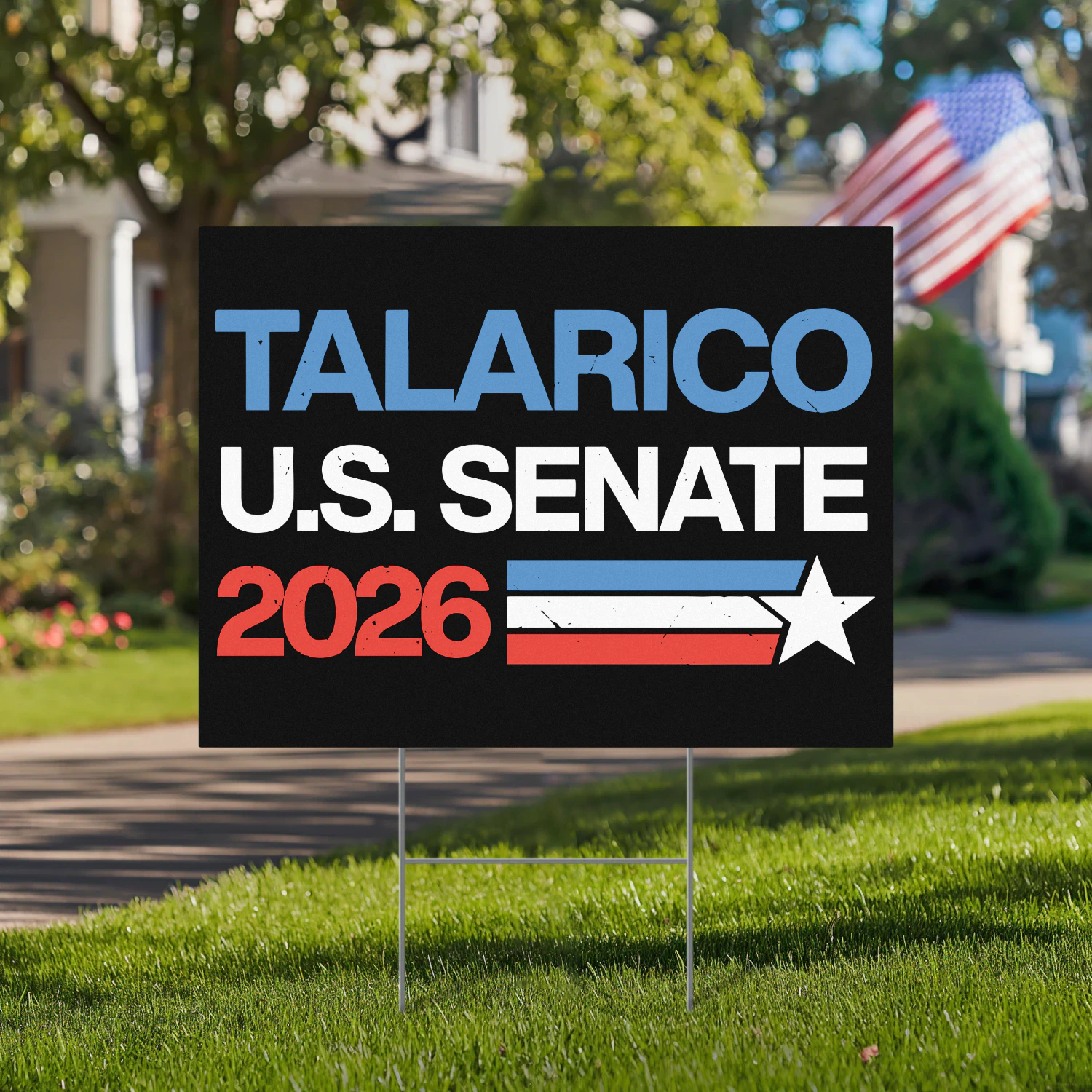 Talarico For U.S. Senate Yard Sign