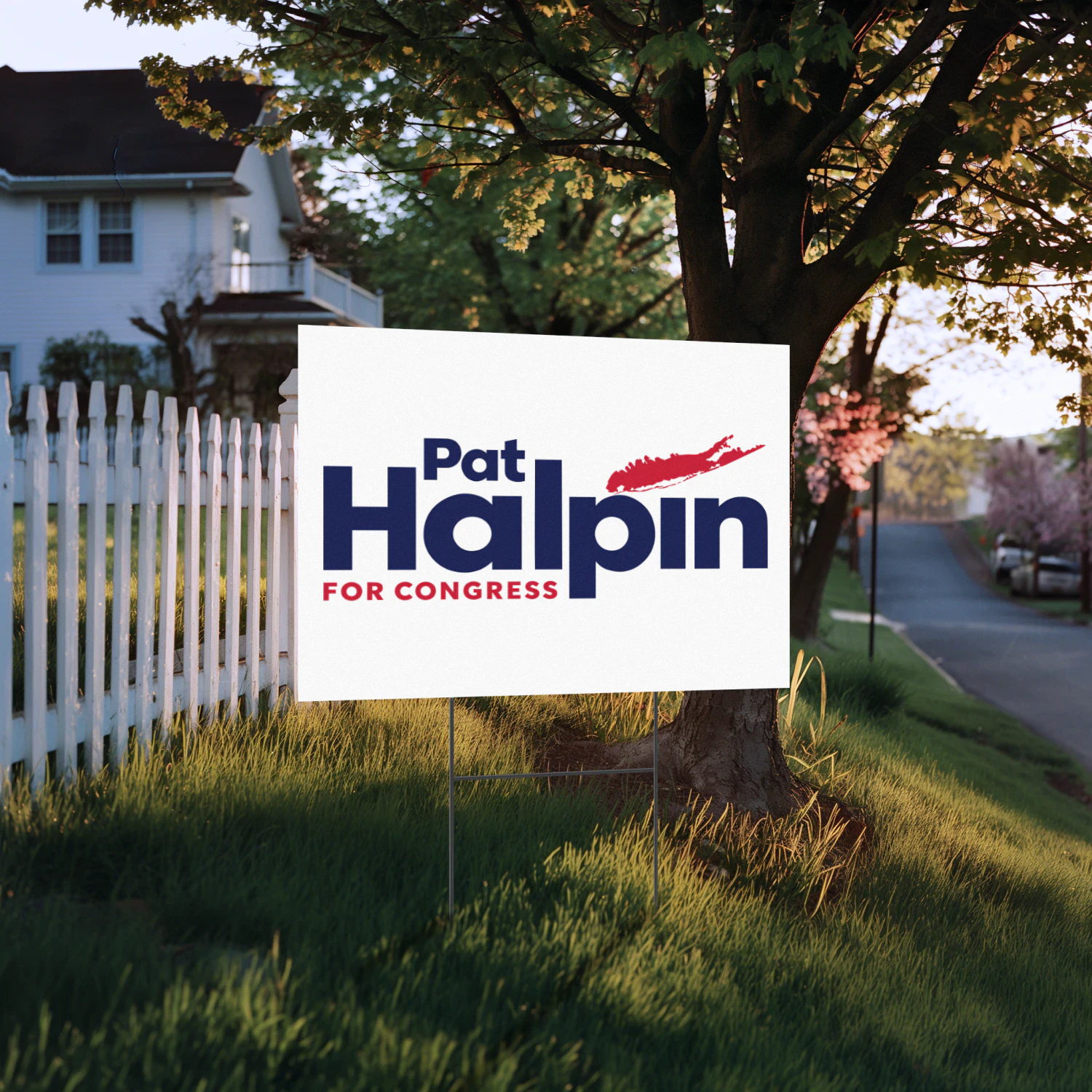 Pat Halpin For Congress