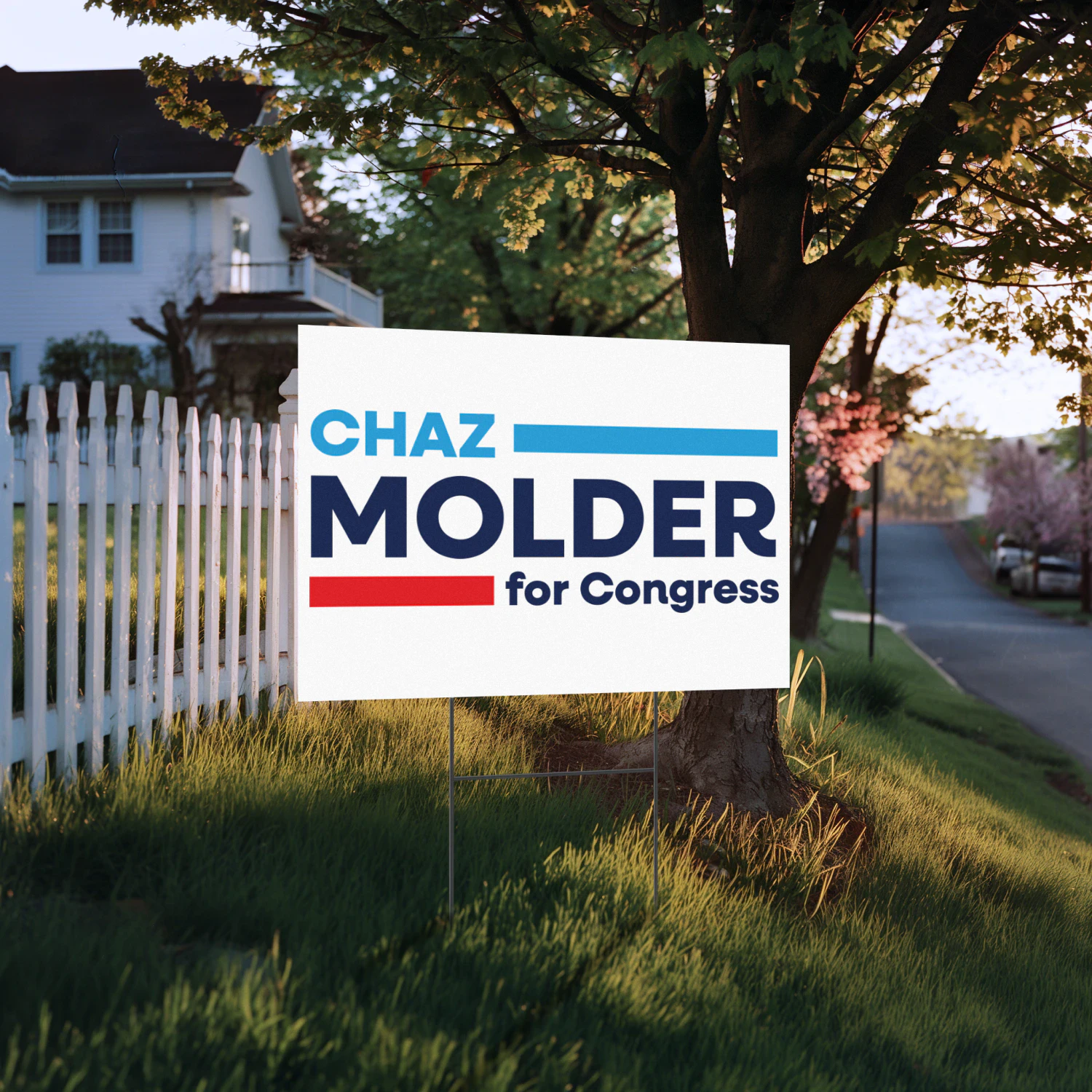 Chaz Molder For Congress Yard Sign