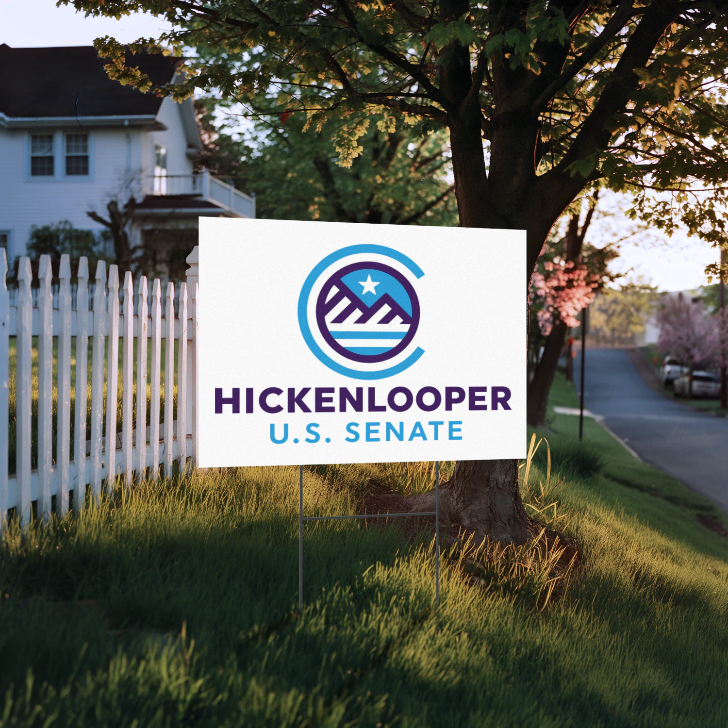 John Hickenlooper for Senate Yard Sign