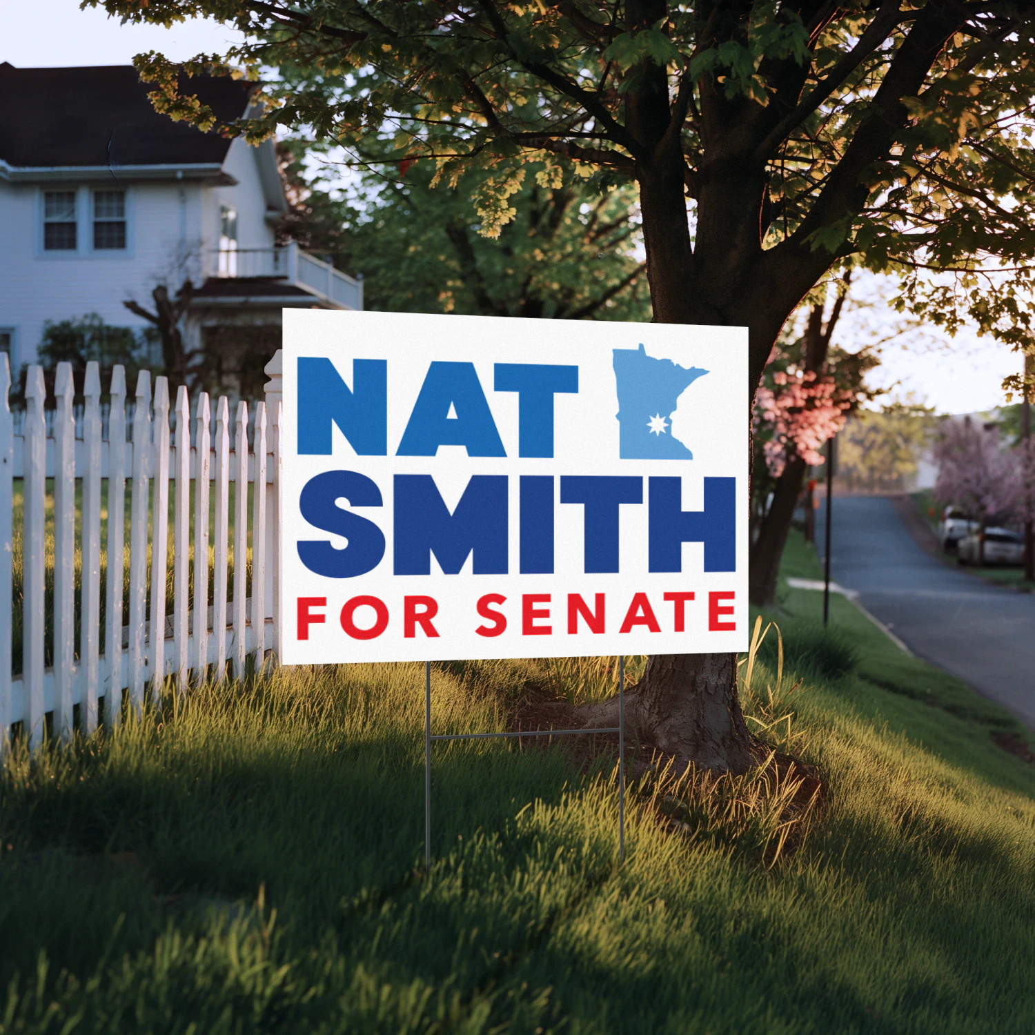 Nat Smith for US Senate
