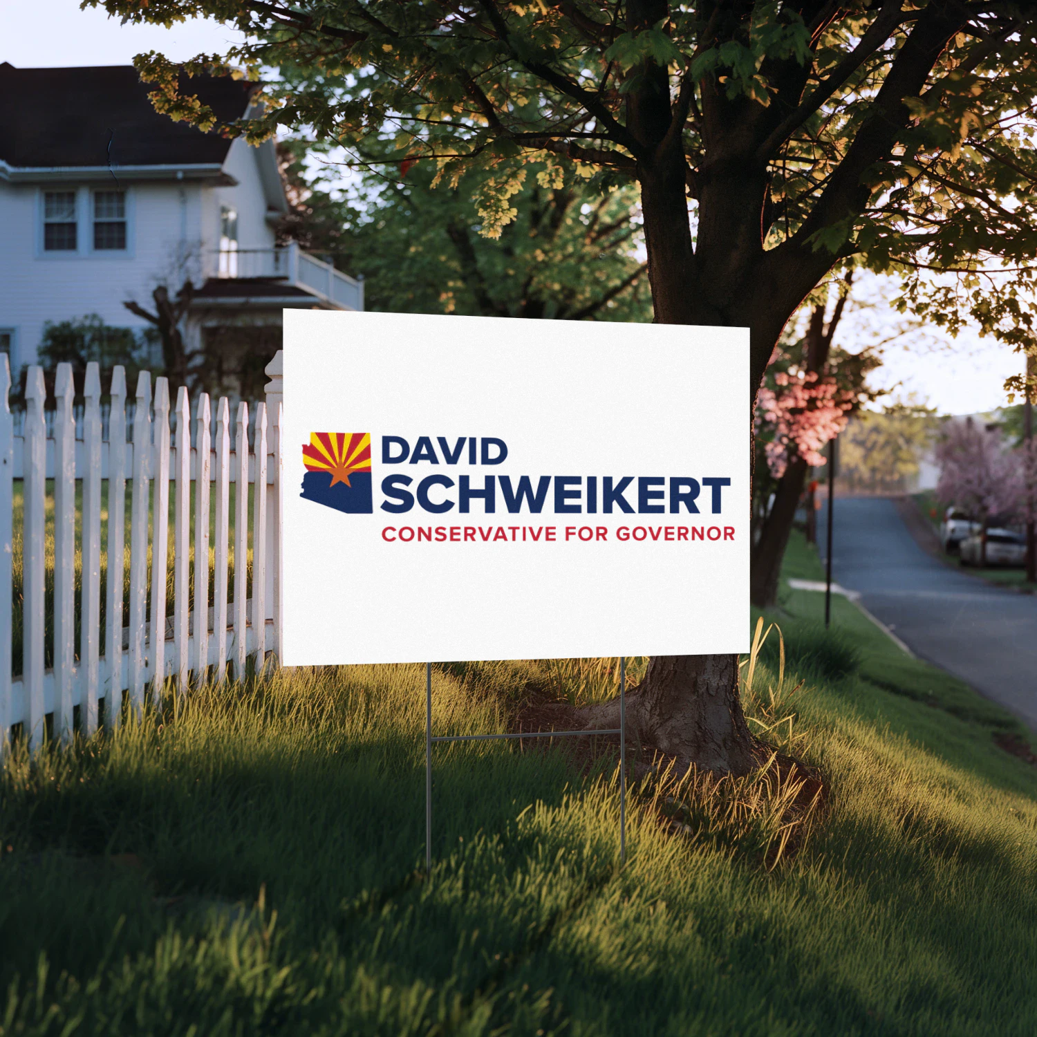 David Schweikert for Governor Yard Sign