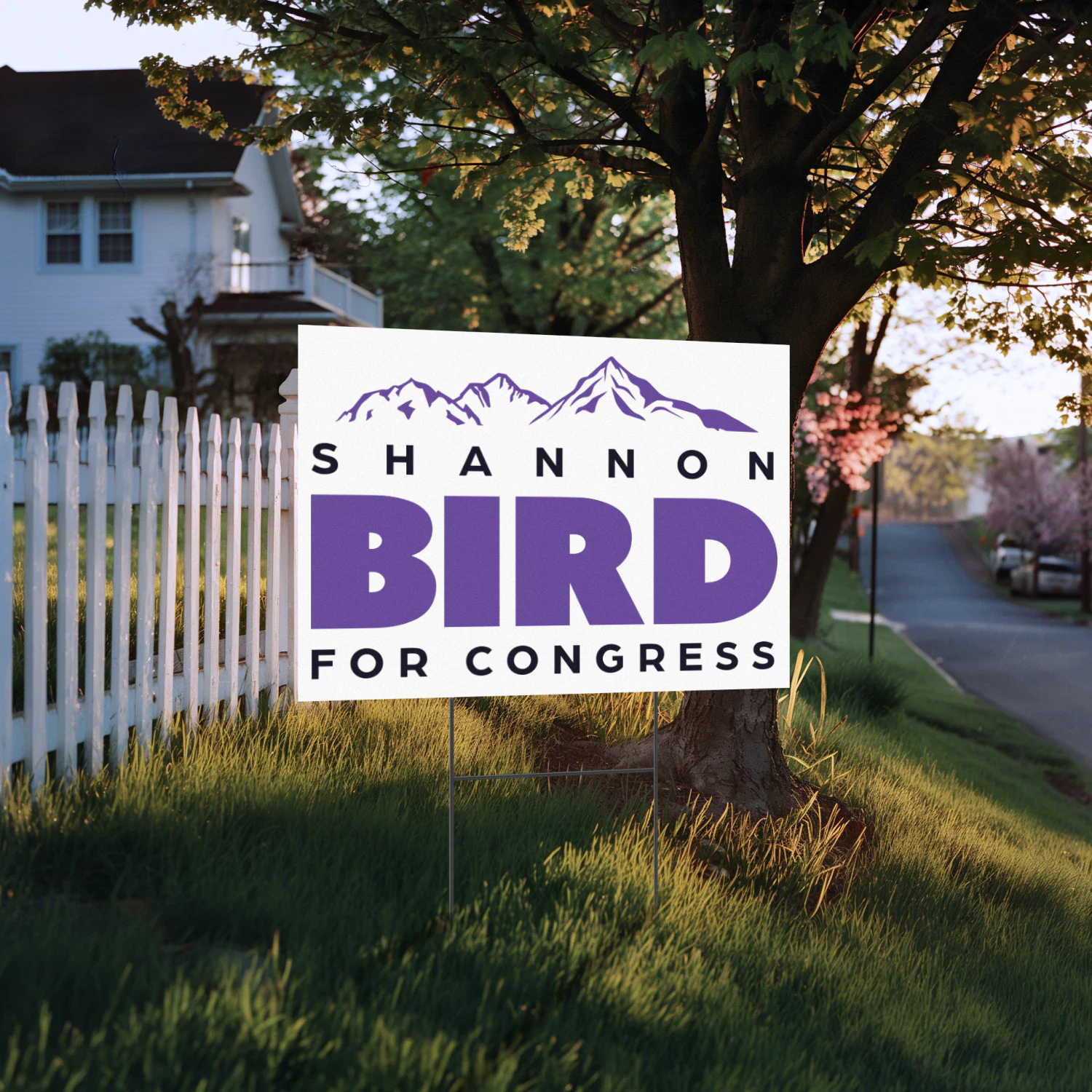 Shannon Bird for Congress Yard Sign - Colorado Democrat’s 2026 Congressional Campaign and Primary Race in District 8