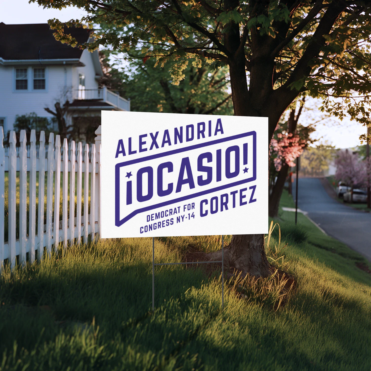 AOC Alexandria Ocasio Cortez President Yard Sign - 2028 Presidential Buzz Grows Around the New York Congresswoman