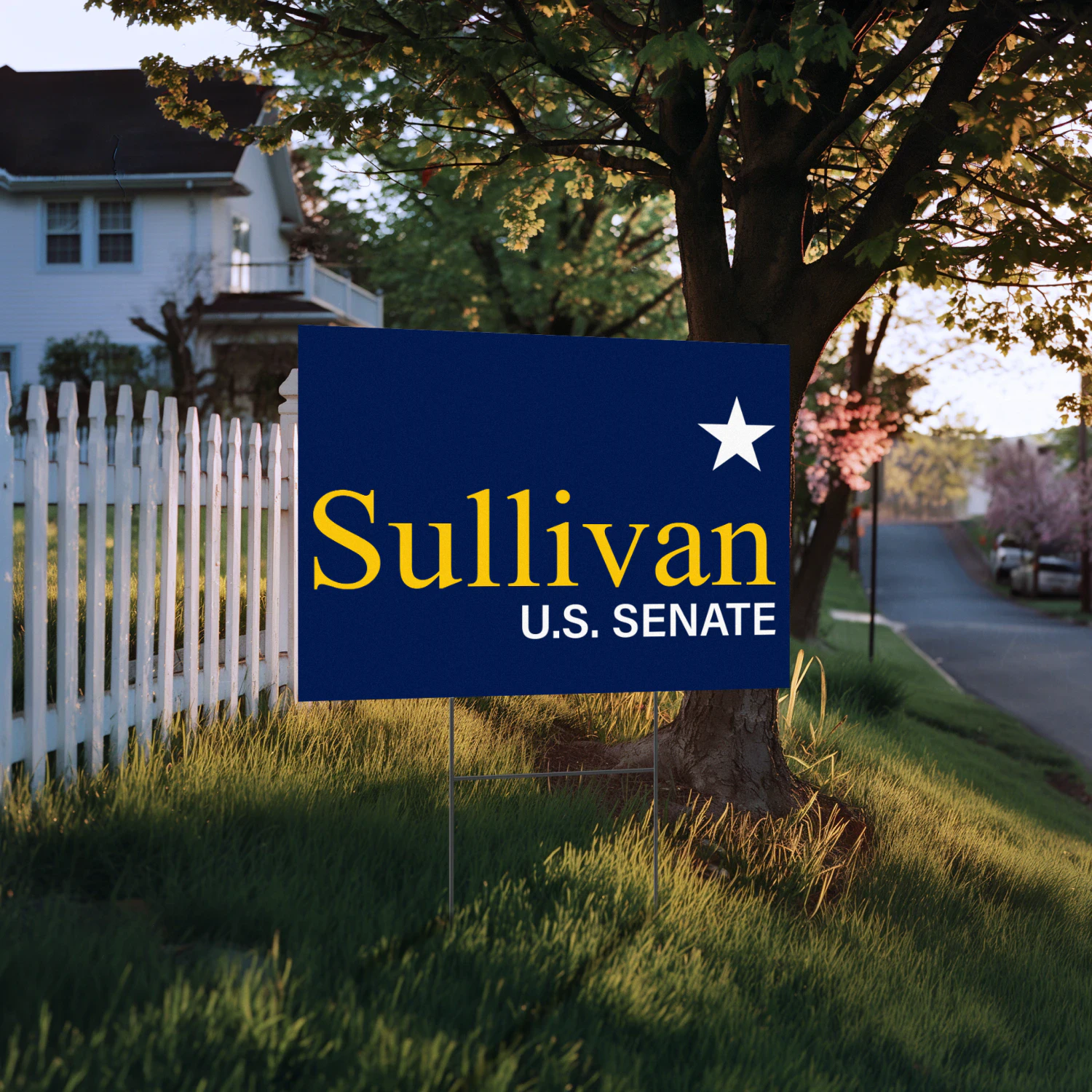 Dan J. Sullivan For Alaska Senate Yard Sign