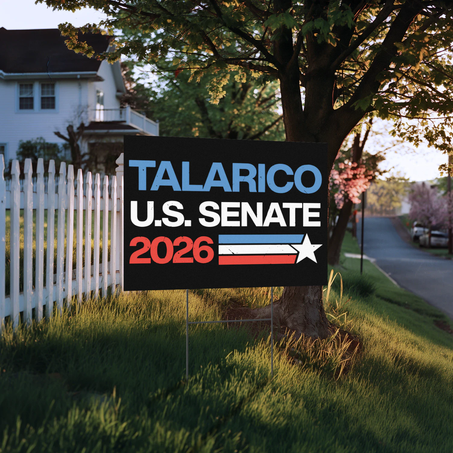 Talarico For U.S. Senate Yard Sign
