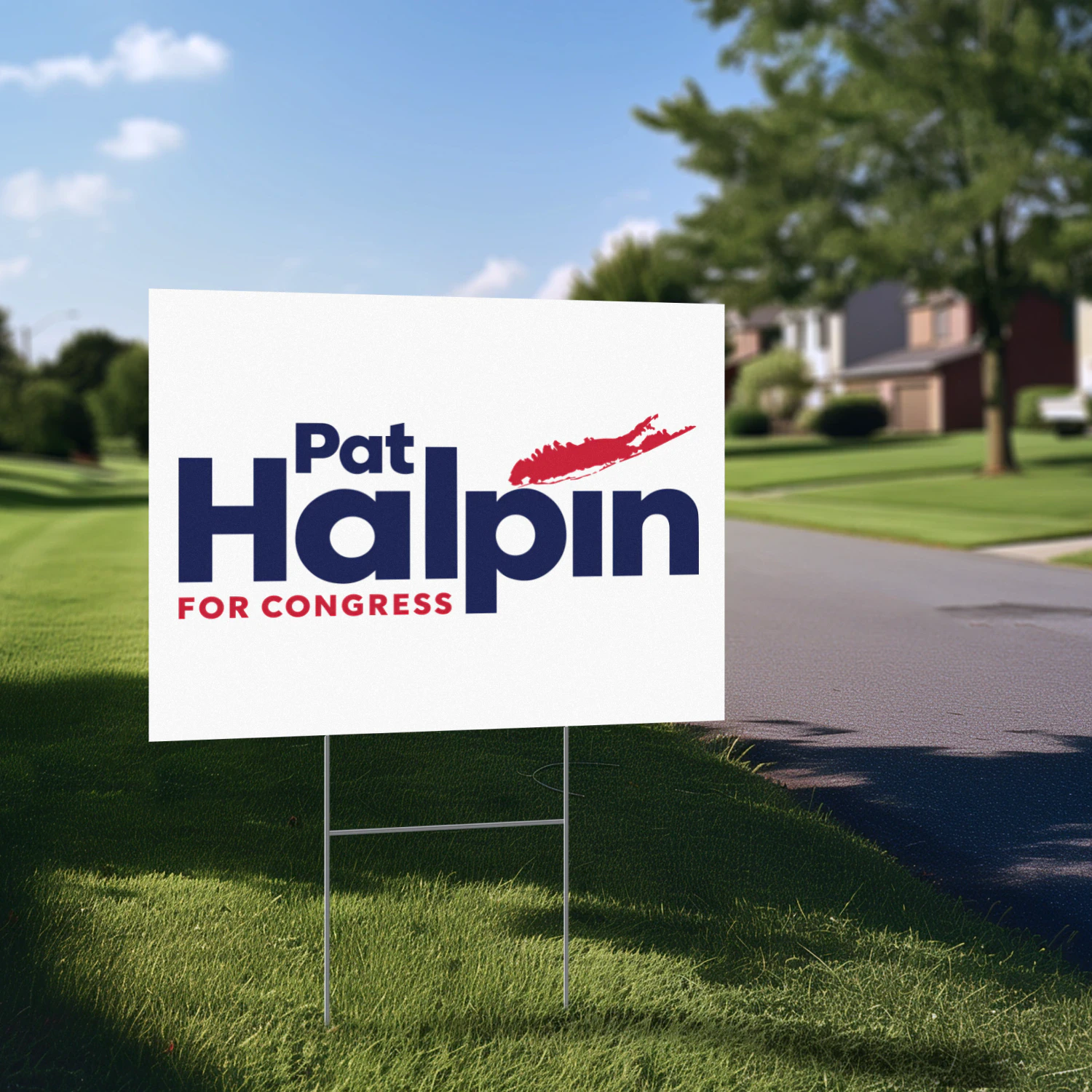 Pat Halpin For Congress