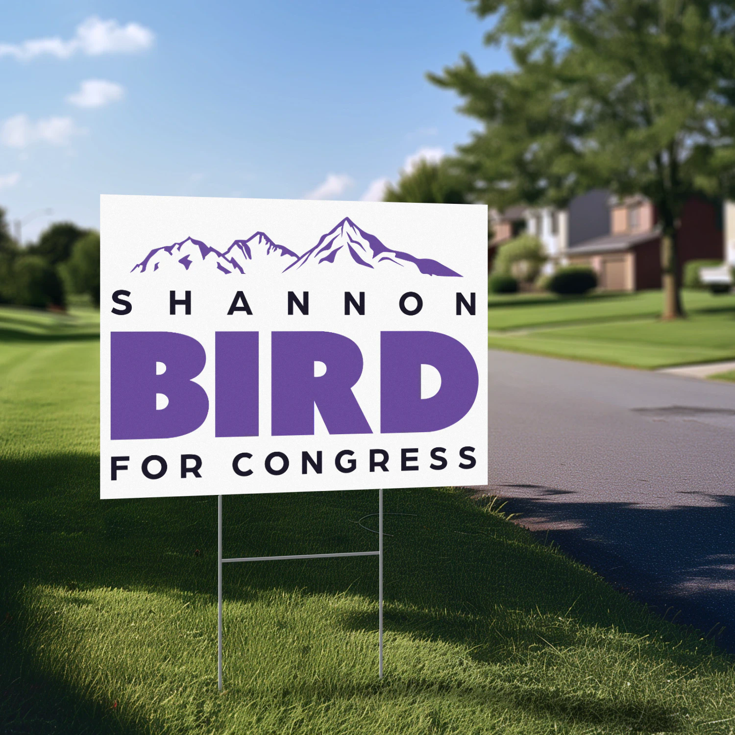Shannon Bird for Congress Yard Sign - Colorado Democrat’s 2026 Congressional Campaign and Primary Race in District 8