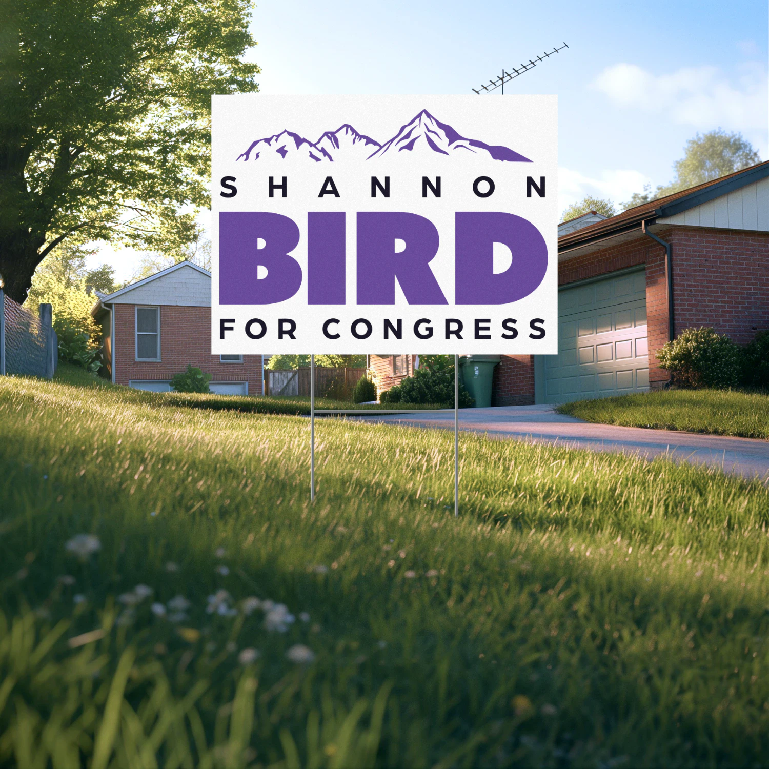 Shannon Bird for Congress Yard Sign - Colorado Democrat’s 2026 Congressional Campaign and Primary Race in District 8
