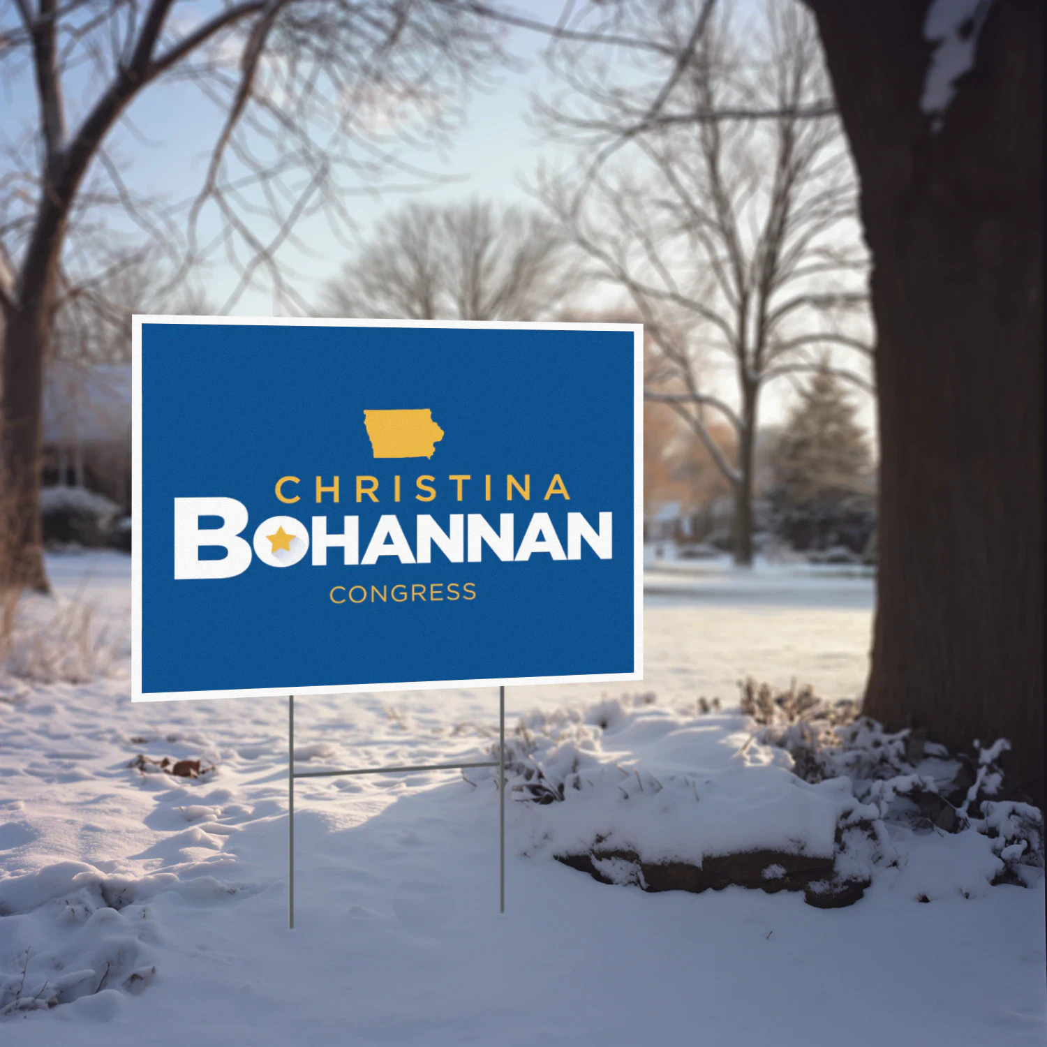 Christina Bohannan For Congress Yard Sign