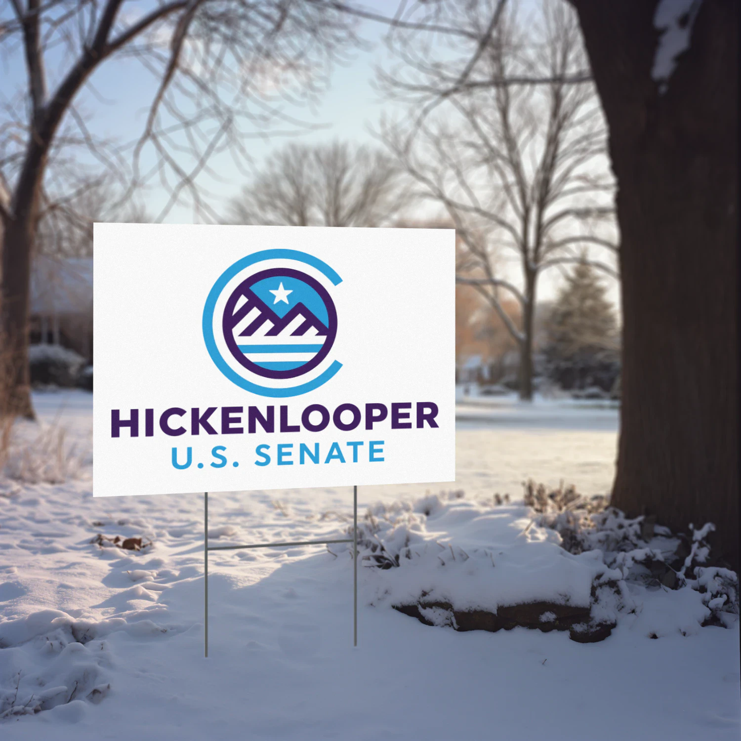John Hickenlooper for Senate Yard Sign