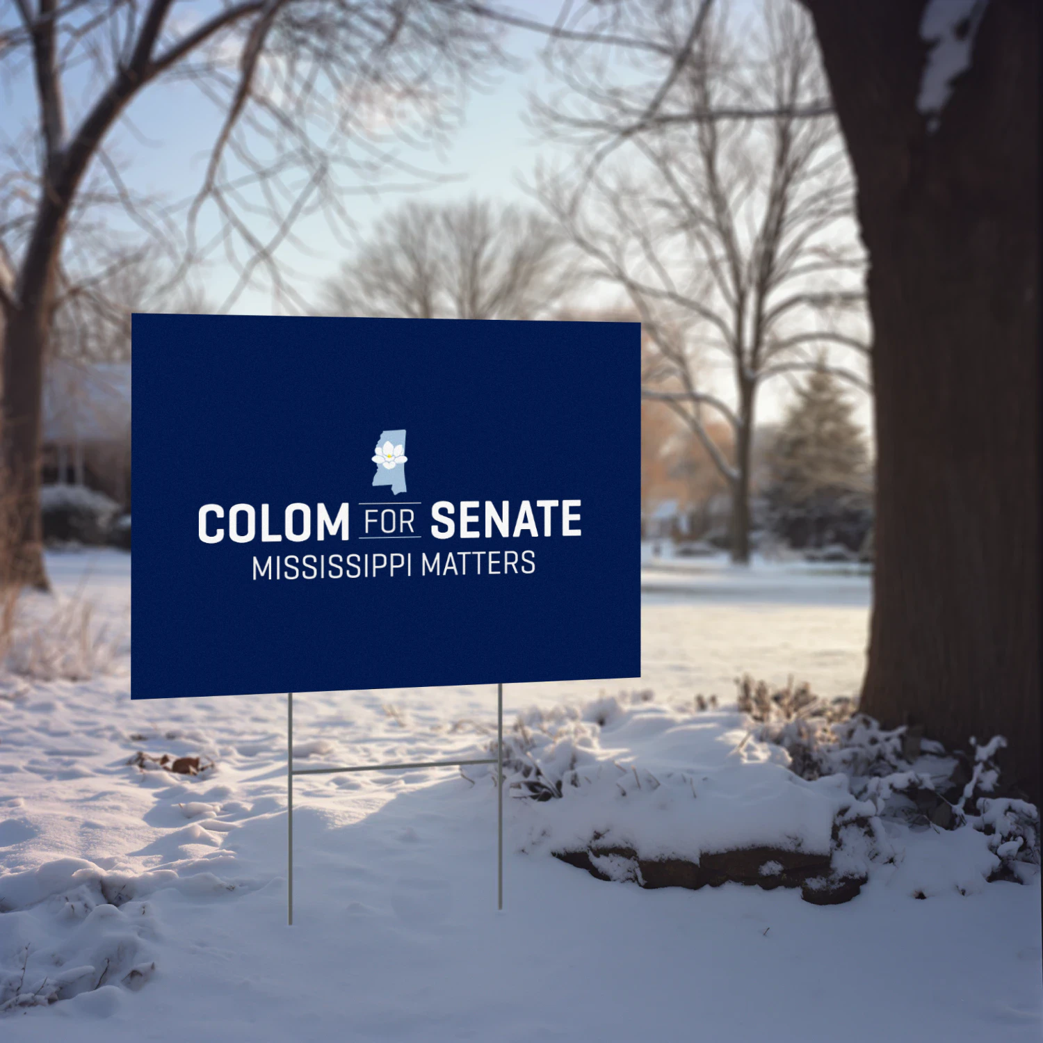 Scott Colom For US Senate Yard Sign - Mississippi Democrat Scott Colom Builds 2026 Campaign Against Cindy Hyde-Smith