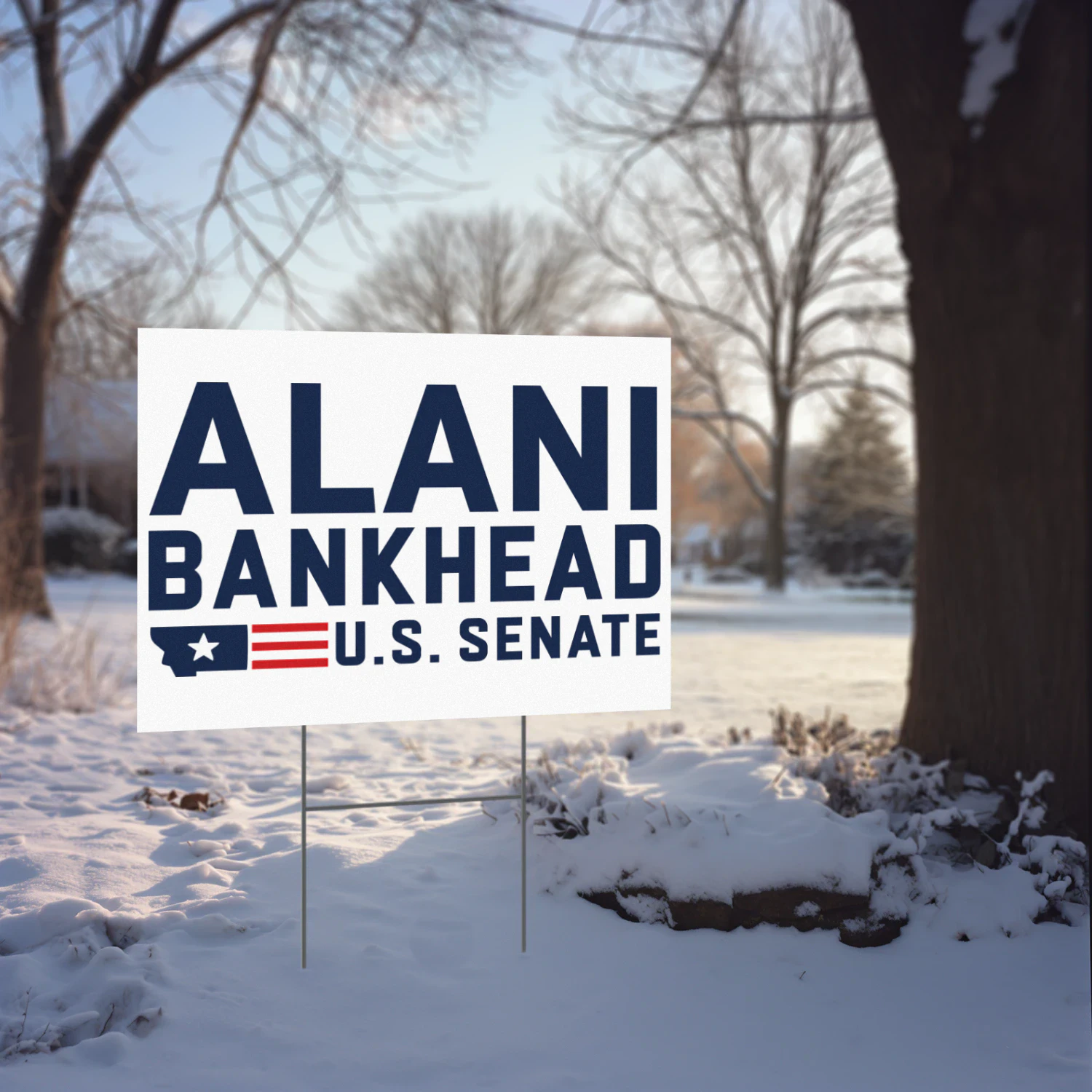 Alani Bankhead For US Senate Yard Sign - Montana Democrat Stays in 2026 Senate Race Despite Pressure to Withdraw