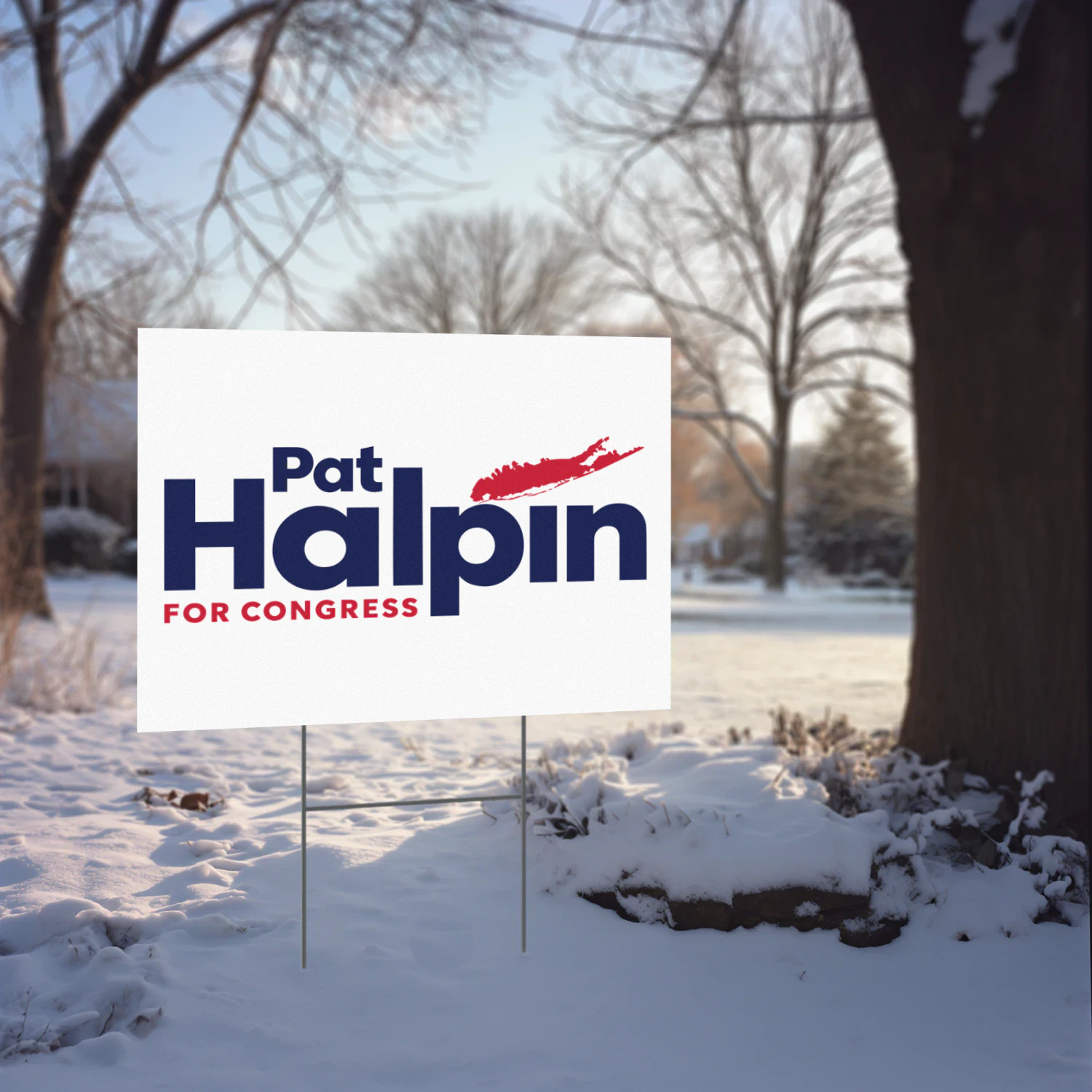 Pat Halpin For Congress