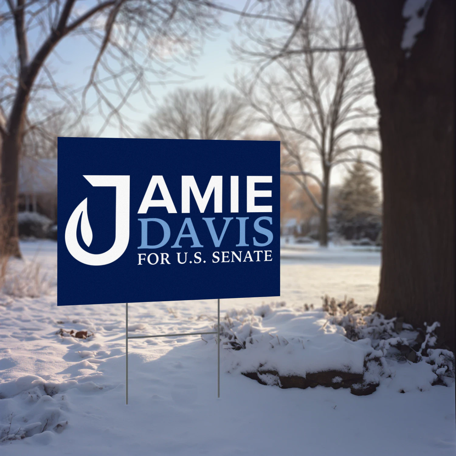 Jamie Davis For US Senate Yard Sign - Louisiana Democrat Jamie Davis Advances to 2026 General Election Against Julia Letlow