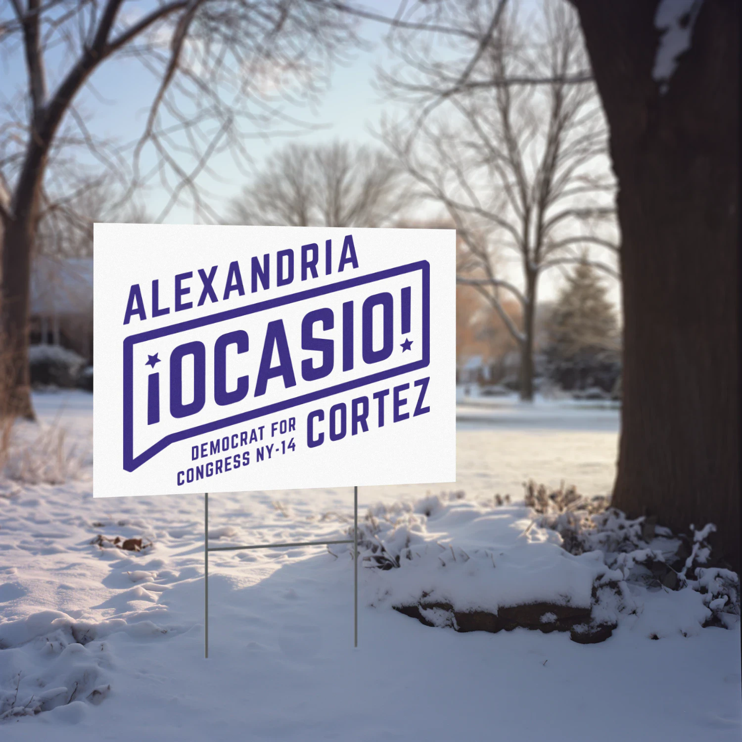 AOC Alexandria Ocasio Cortez President Yard Sign - 2028 Presidential Buzz Grows Around the New York Congresswoman