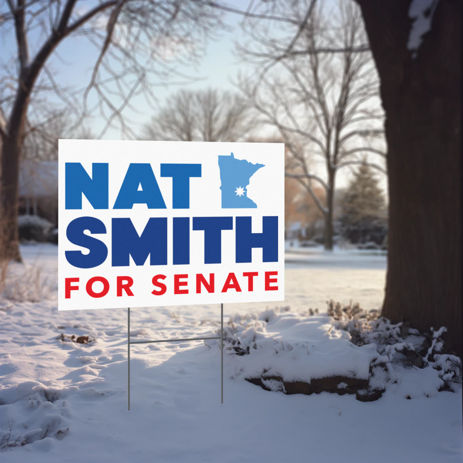 Nat Smith for US Senate