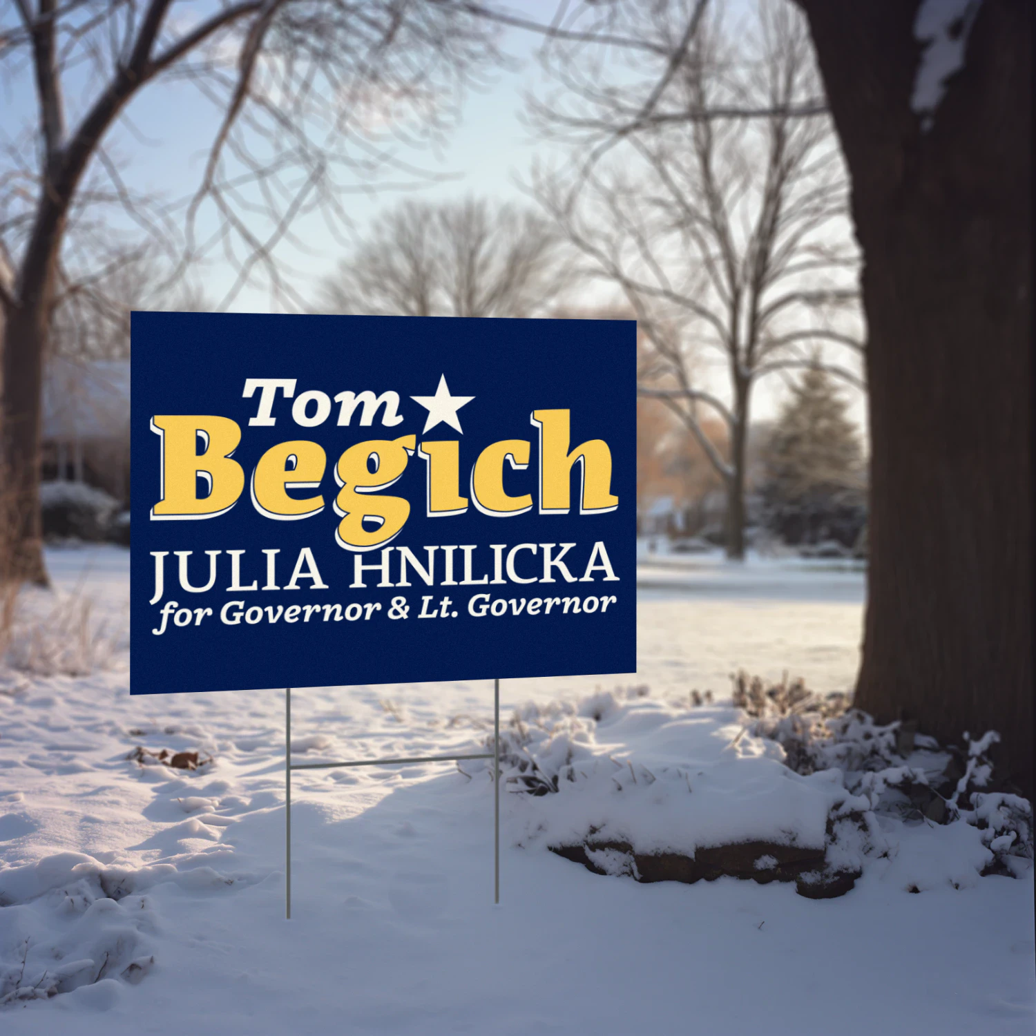 Tom Begich For Governor Yard Sign – Alaska 2026 Campaign, Primary Results & General Election Support