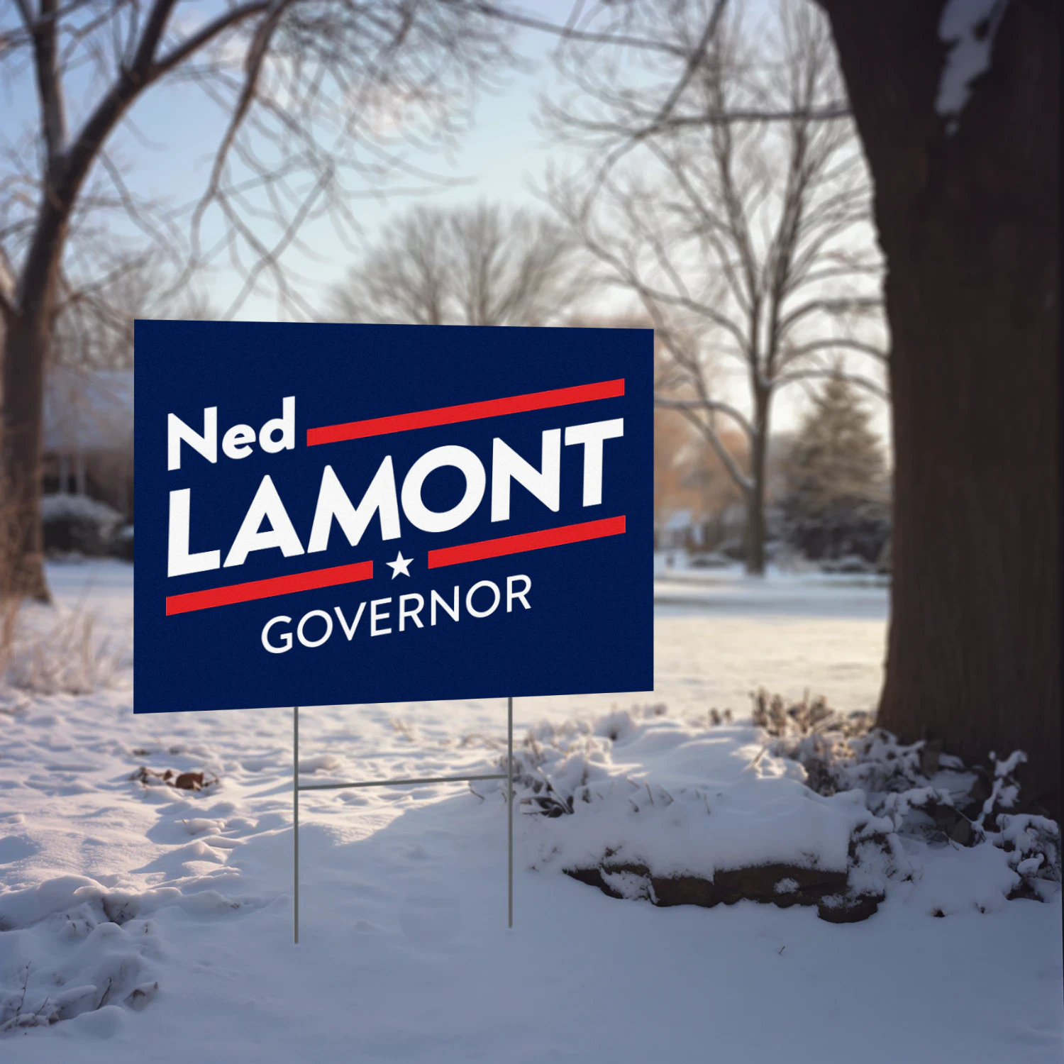 Ned Lamont For Governor Yard Sign