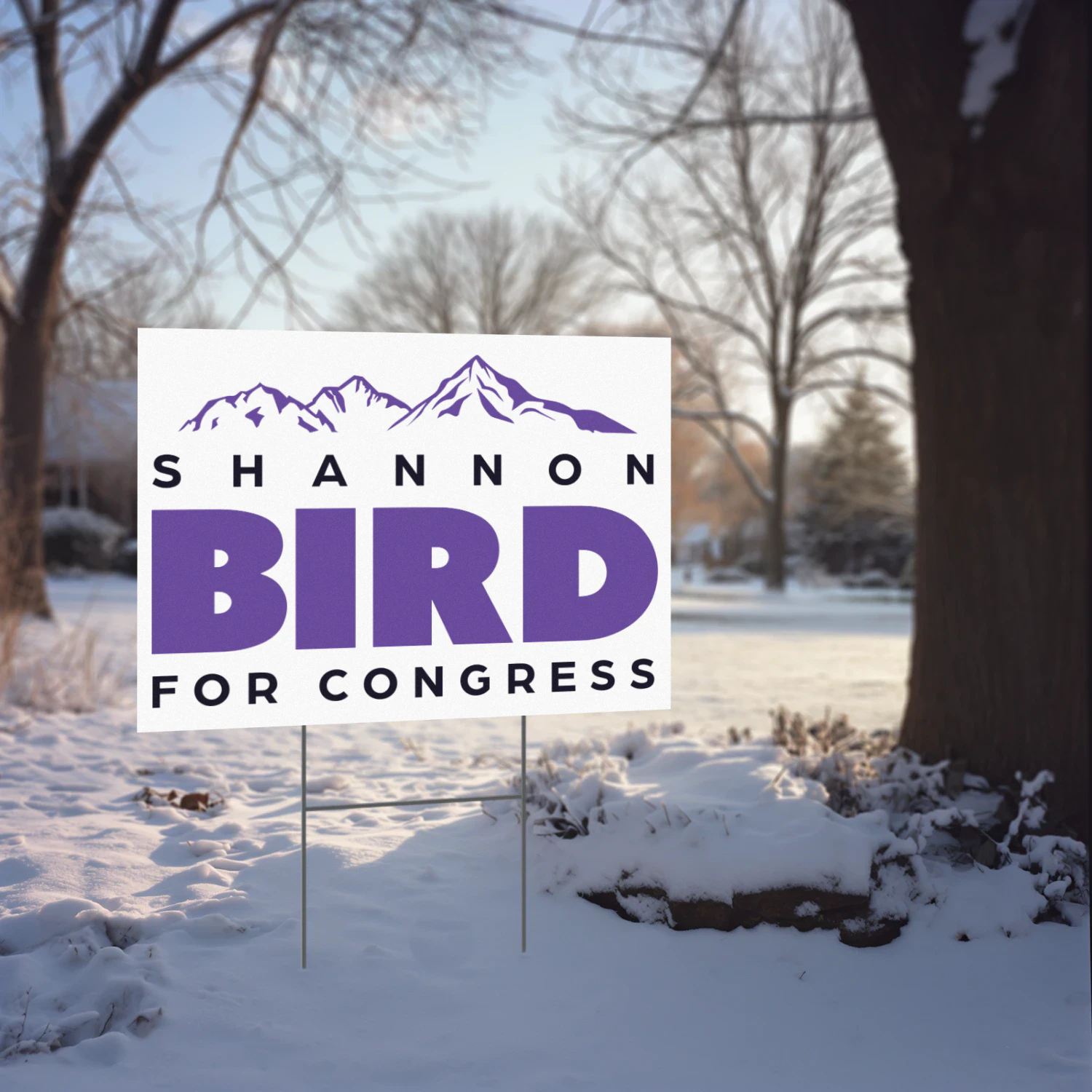 Shannon Bird for Congress Yard Sign - Colorado Democrat’s 2026 Congressional Campaign and Primary Race in District 8