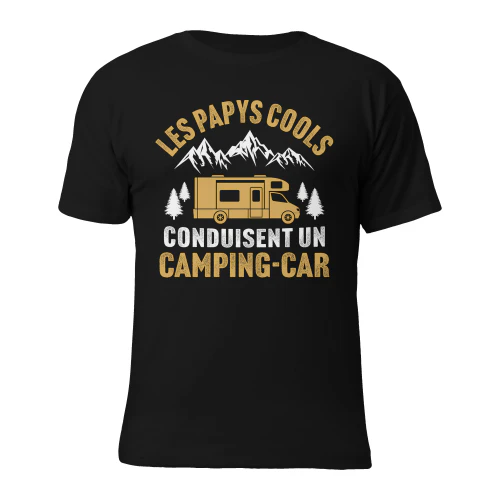 les papys cools conduisent un camping car