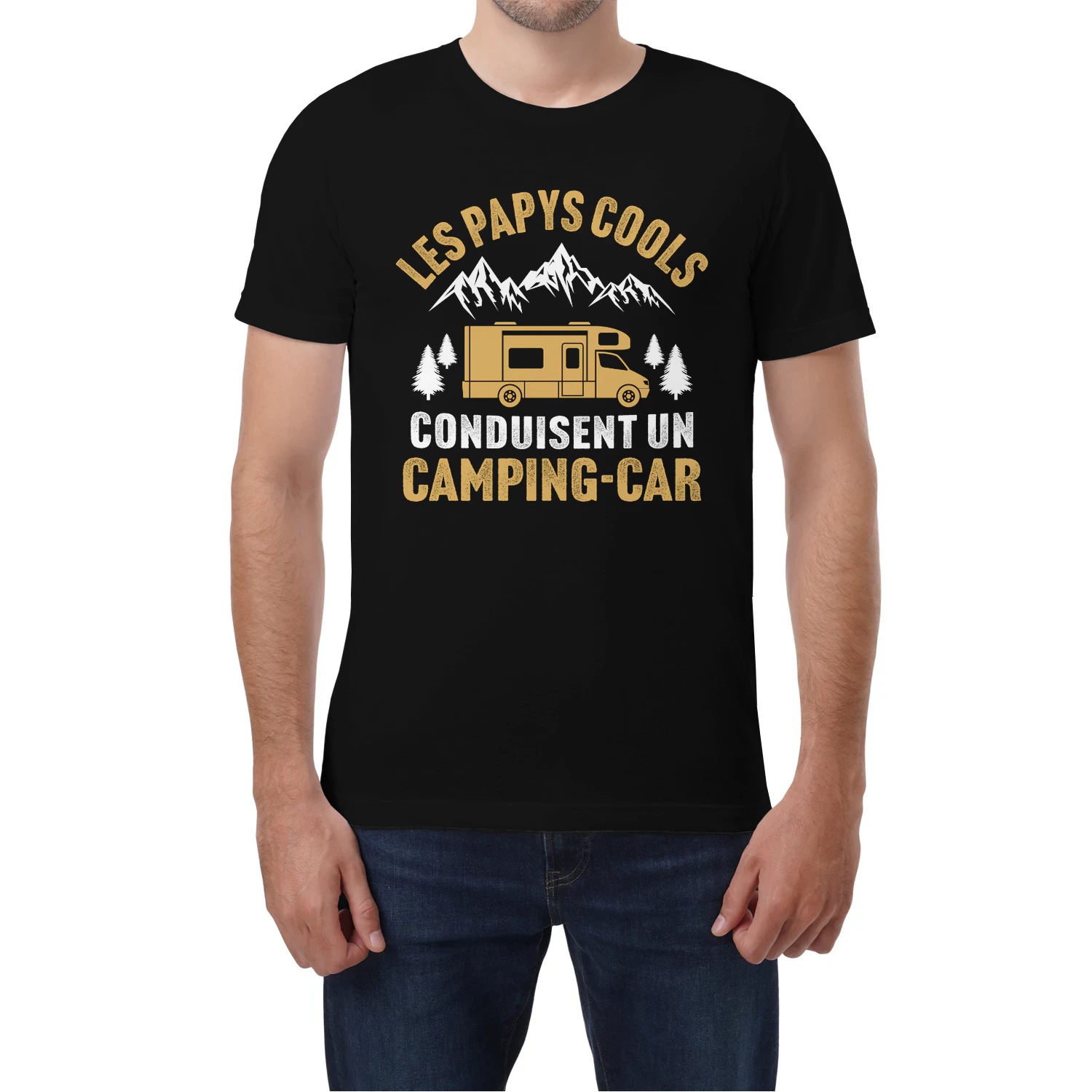 les papys cools conduisent un camping-car