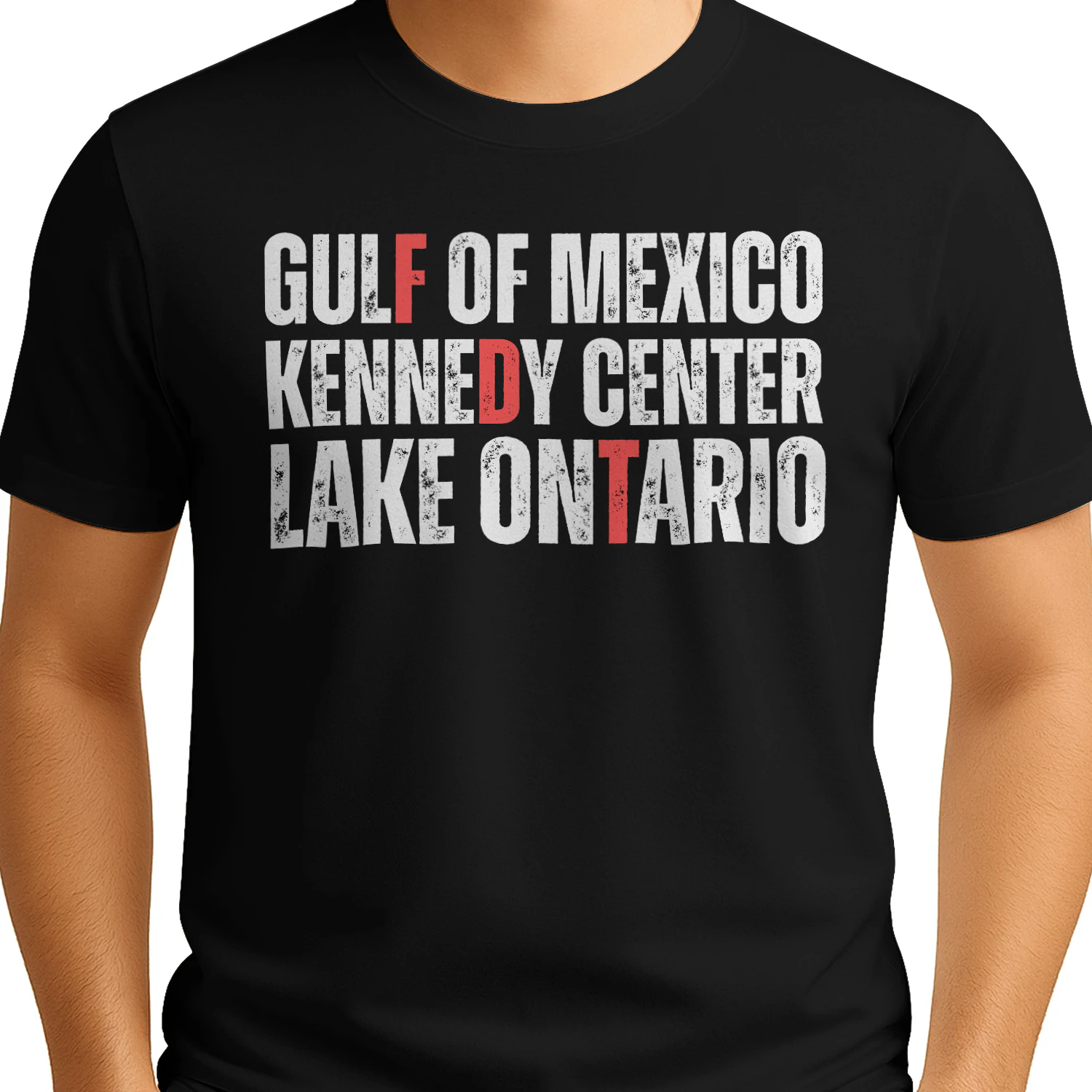 GULF OF MEXICO KENNEDY CENTER LAKE ONTARIO Trend Shirt