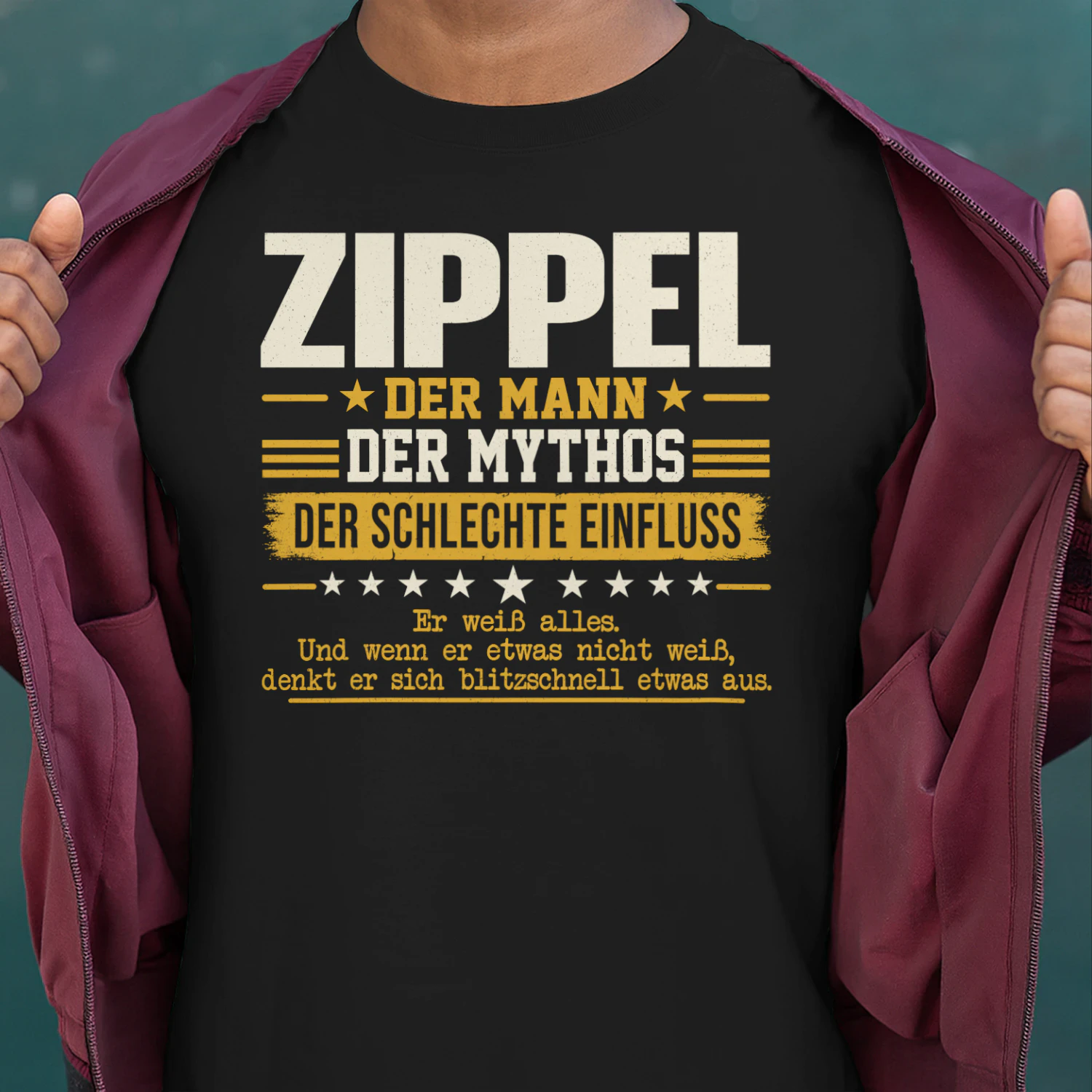 DE39698 ZIPPEL BSDA20