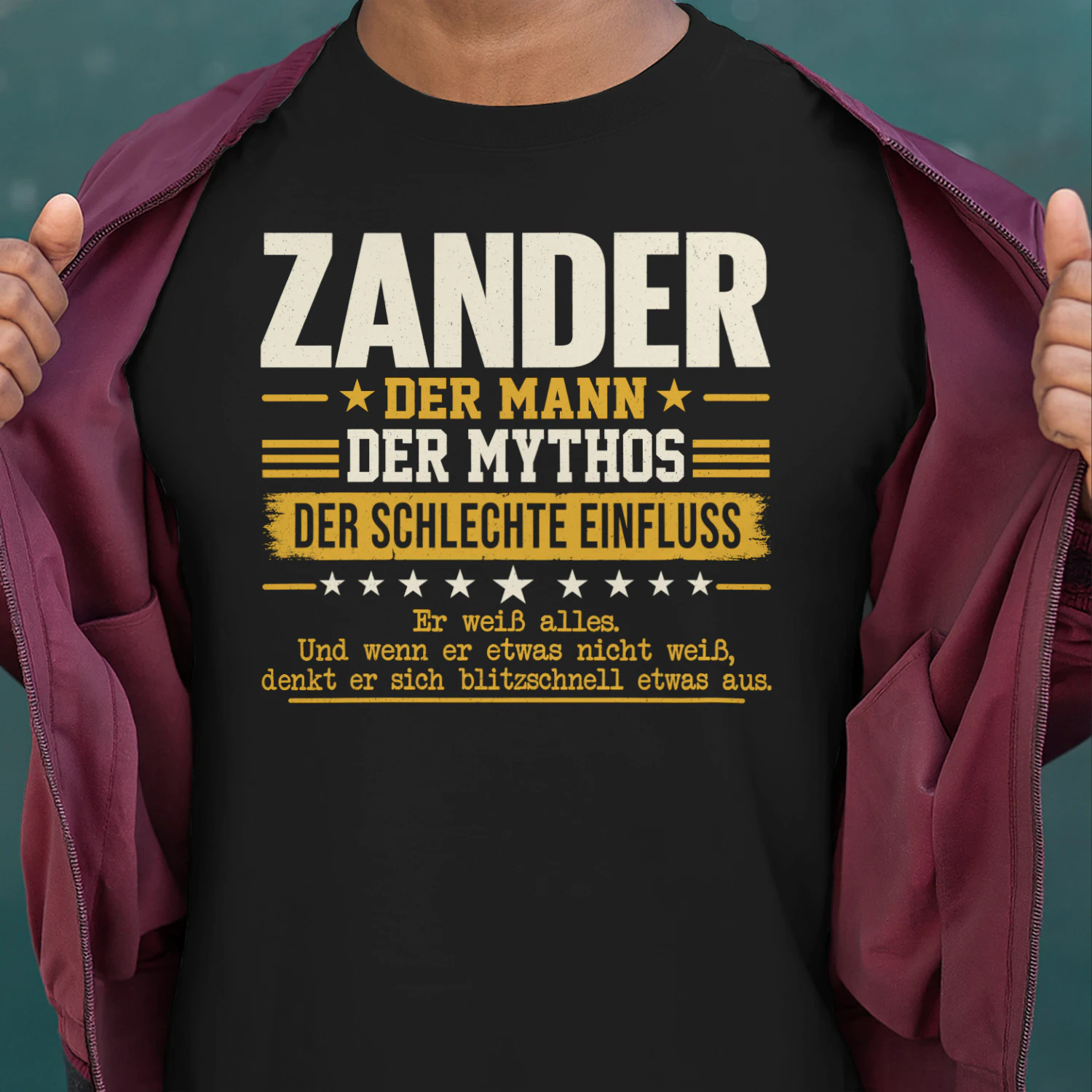 DE04842 ZANDER BSDA20