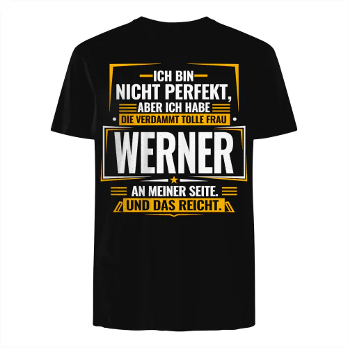 DE03683 WERNER BSDG26