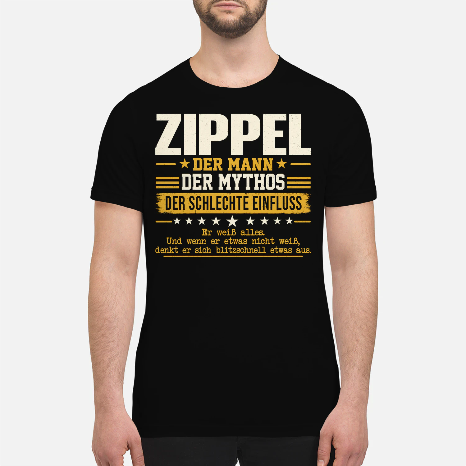 DE39698 ZIPPEL BSDA20
