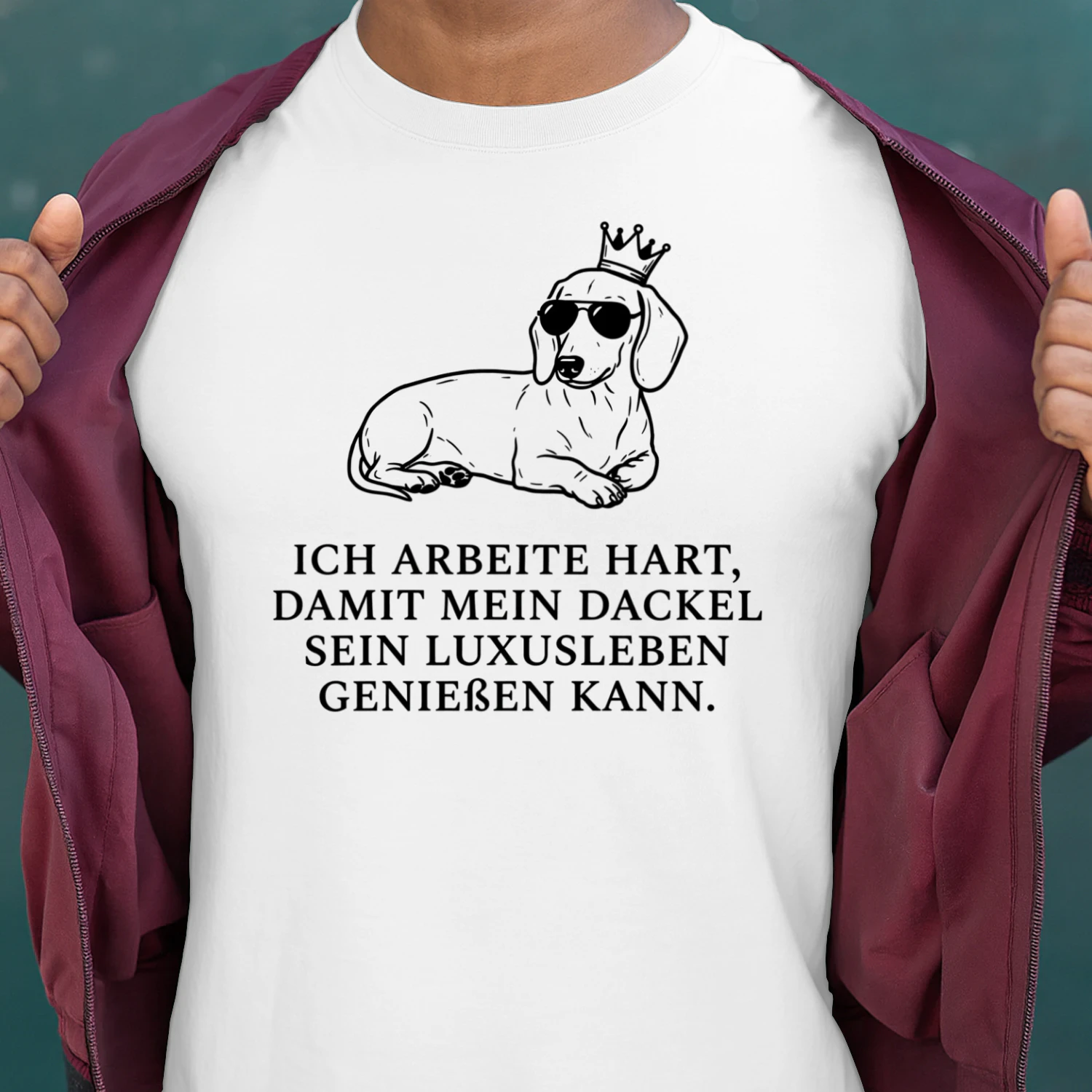 Ich arbeite hart, damit mein Dackel sein Luxusleben genießen kann.