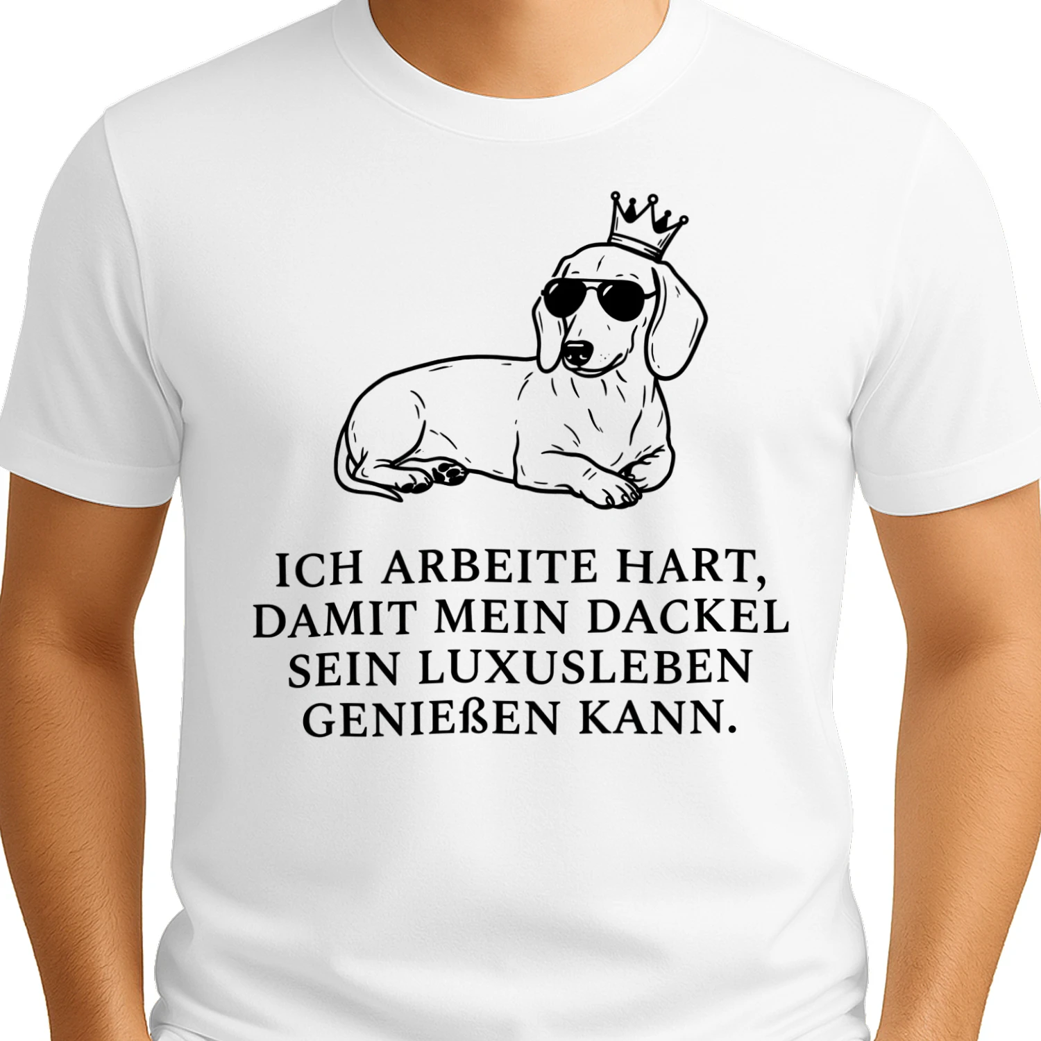 Ich arbeite hart, damit mein Dackel sein Luxusleben genießen kann.