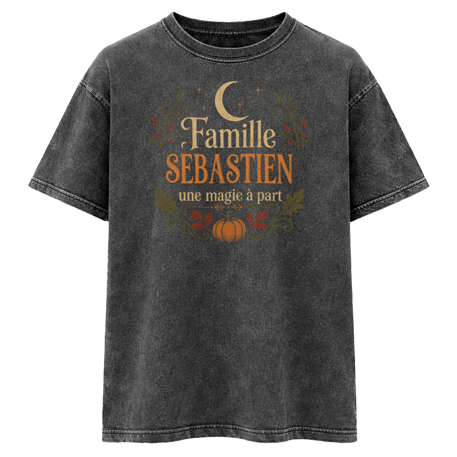 sebastien-vic53-74