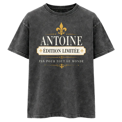 antoine-vic6-84