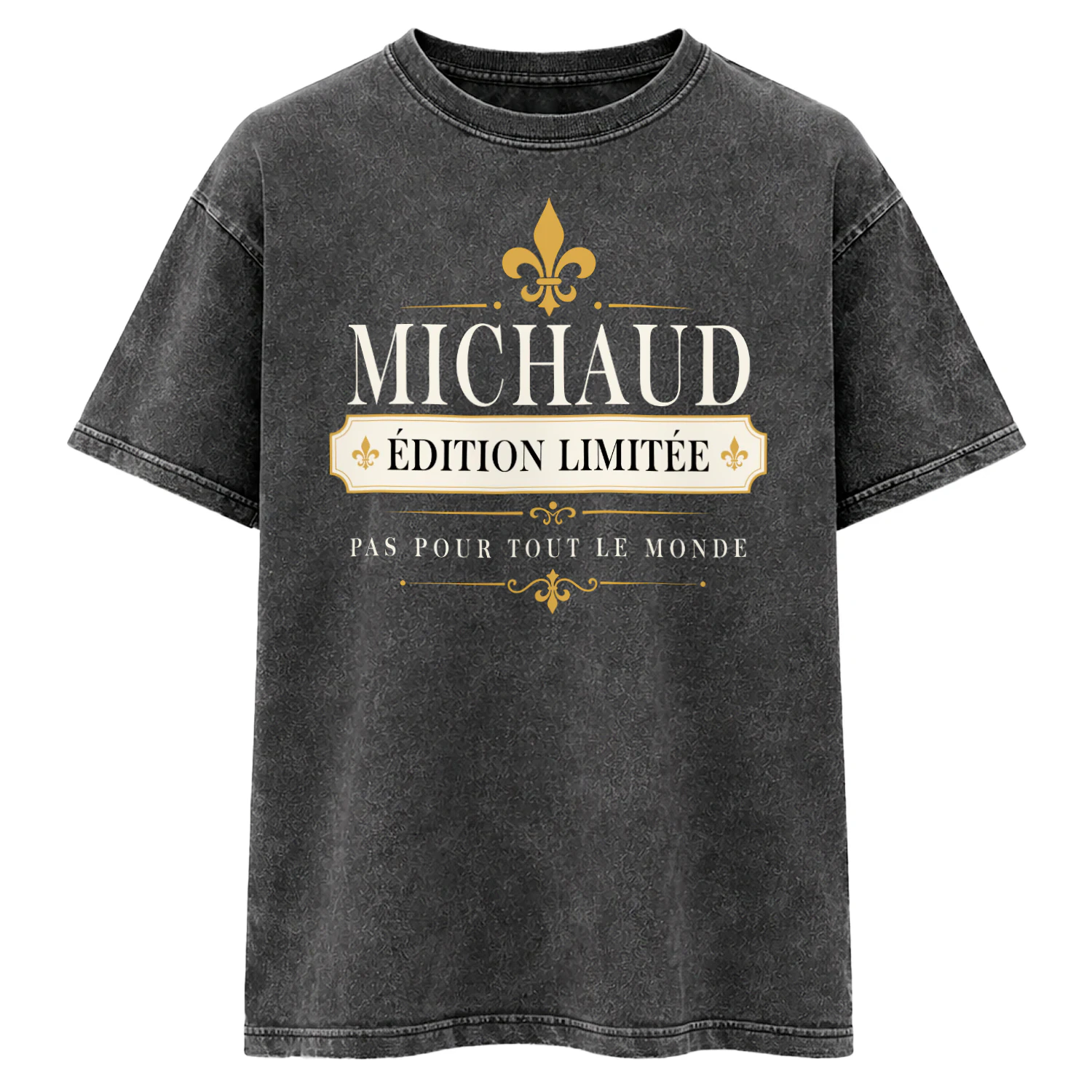 michaud-vic6-291