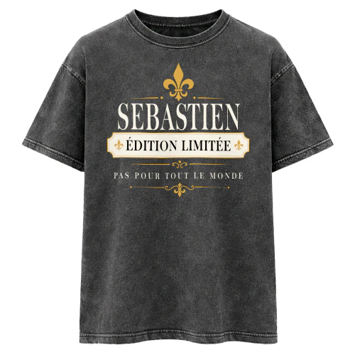 sebastien-vic6-74