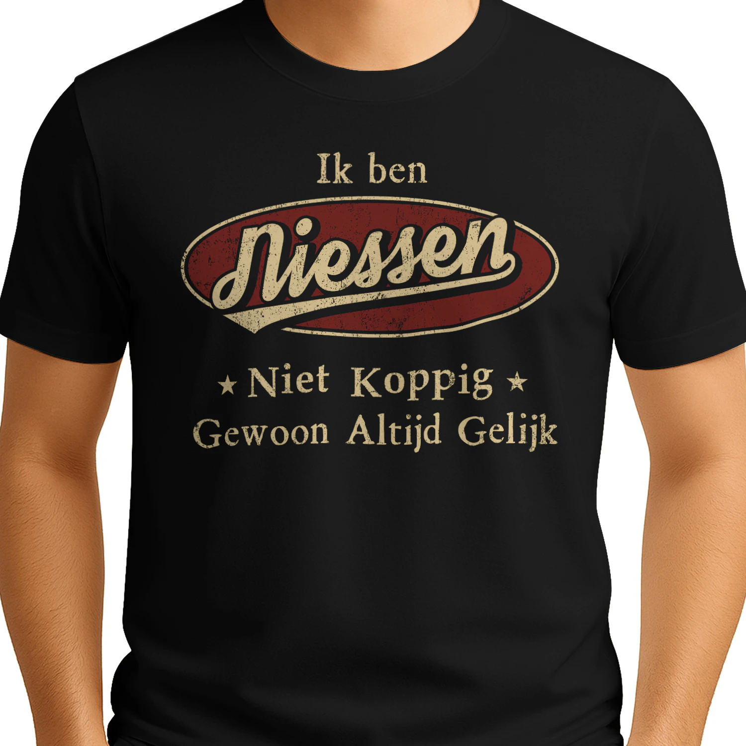 HL1089 NIESSEN BSNL11