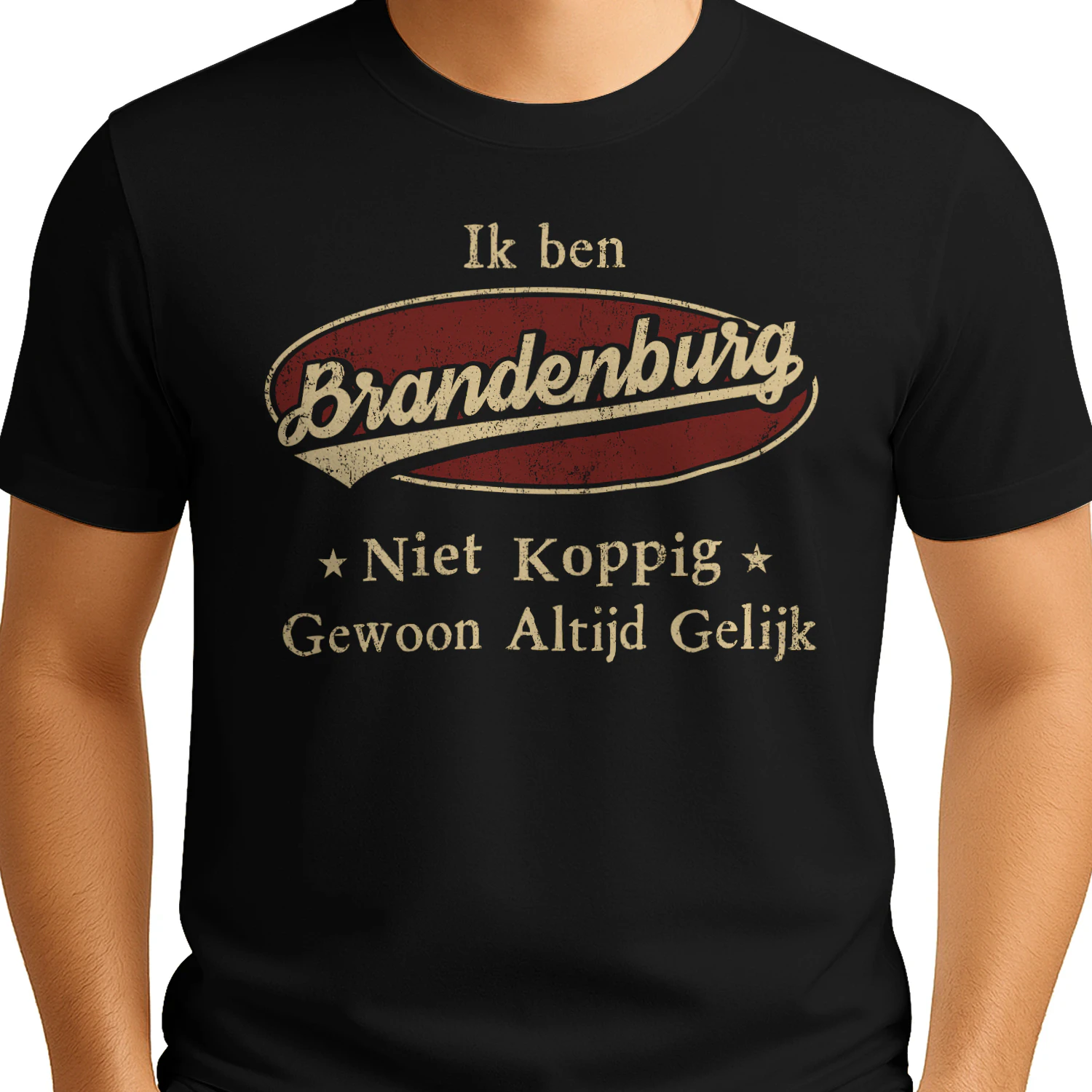 HL1871 BRANDENBURG BSNL11
