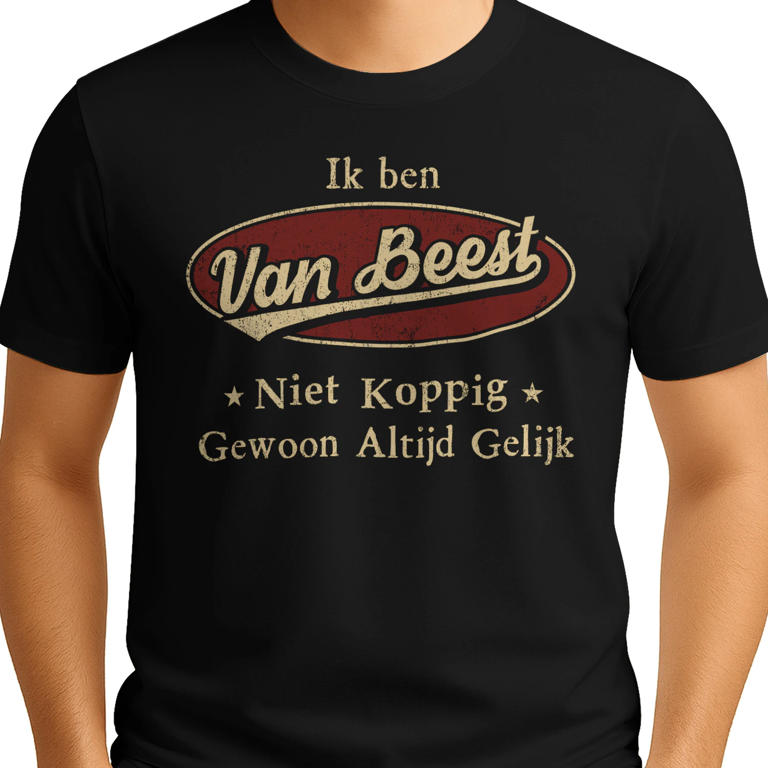 HL1969 VAN BEEST BSNL11