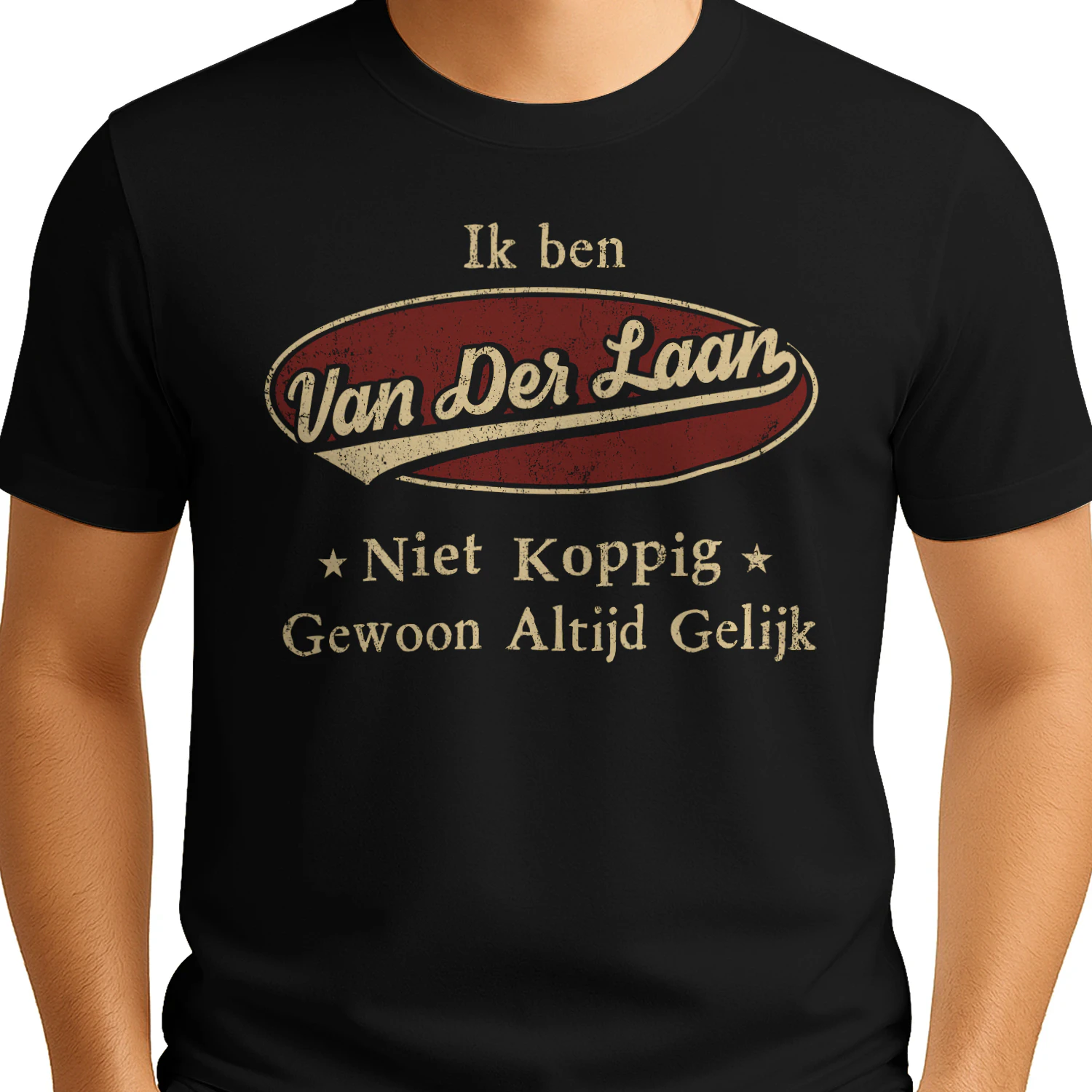 HL0081 VAN DER LAAN BSNL11
