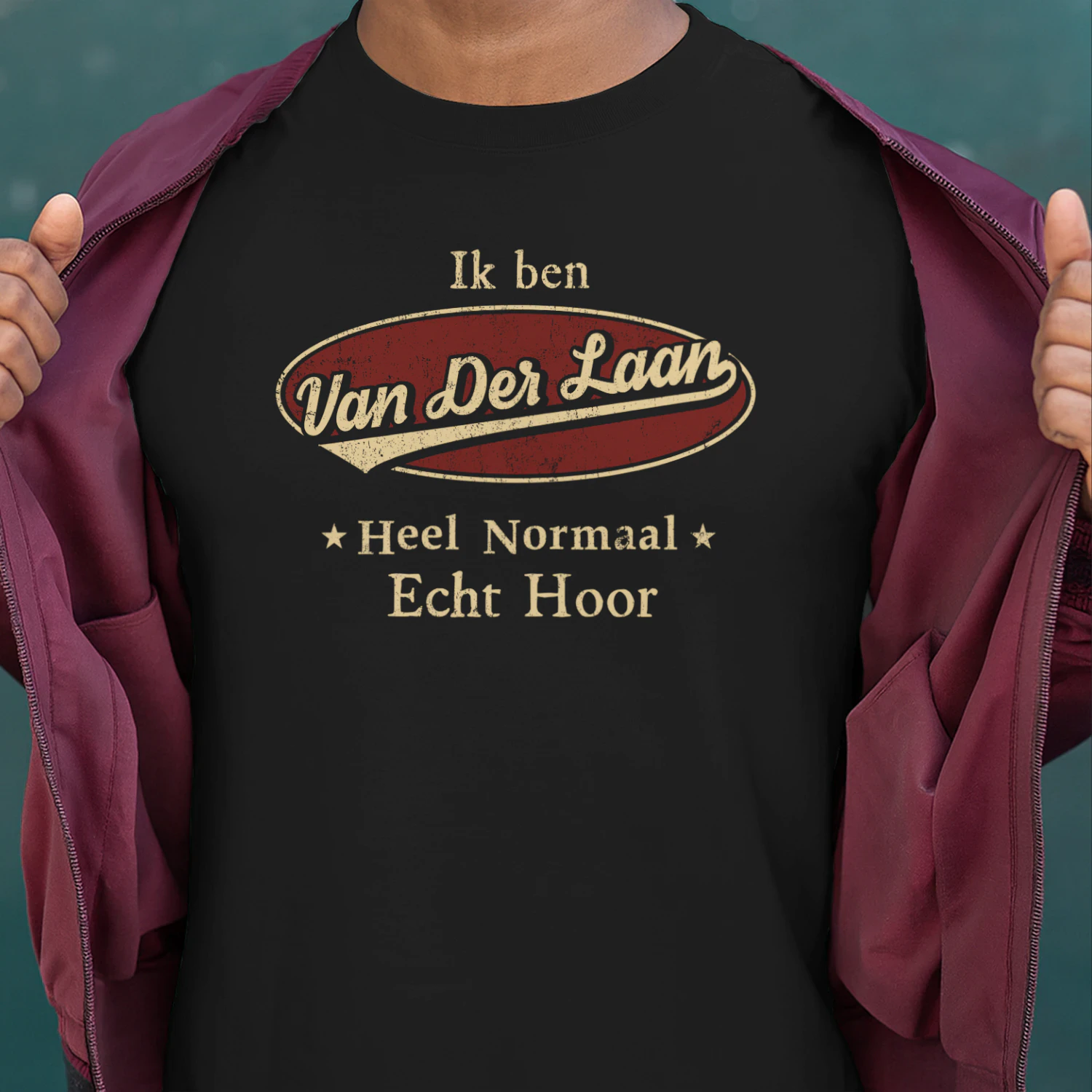 HL0081 VAN DER LAAN BSNL09
