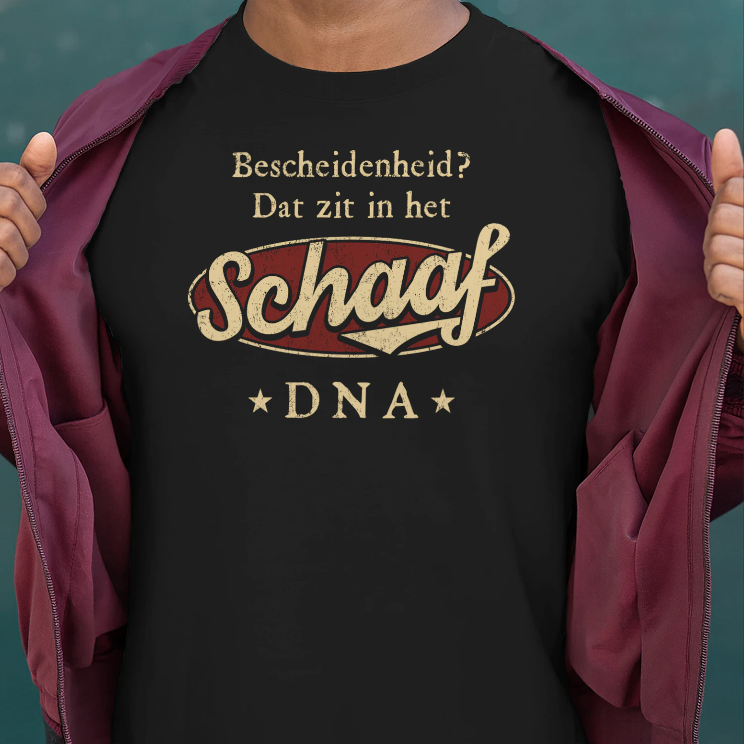 HL3162 SCHAAF BSNL13